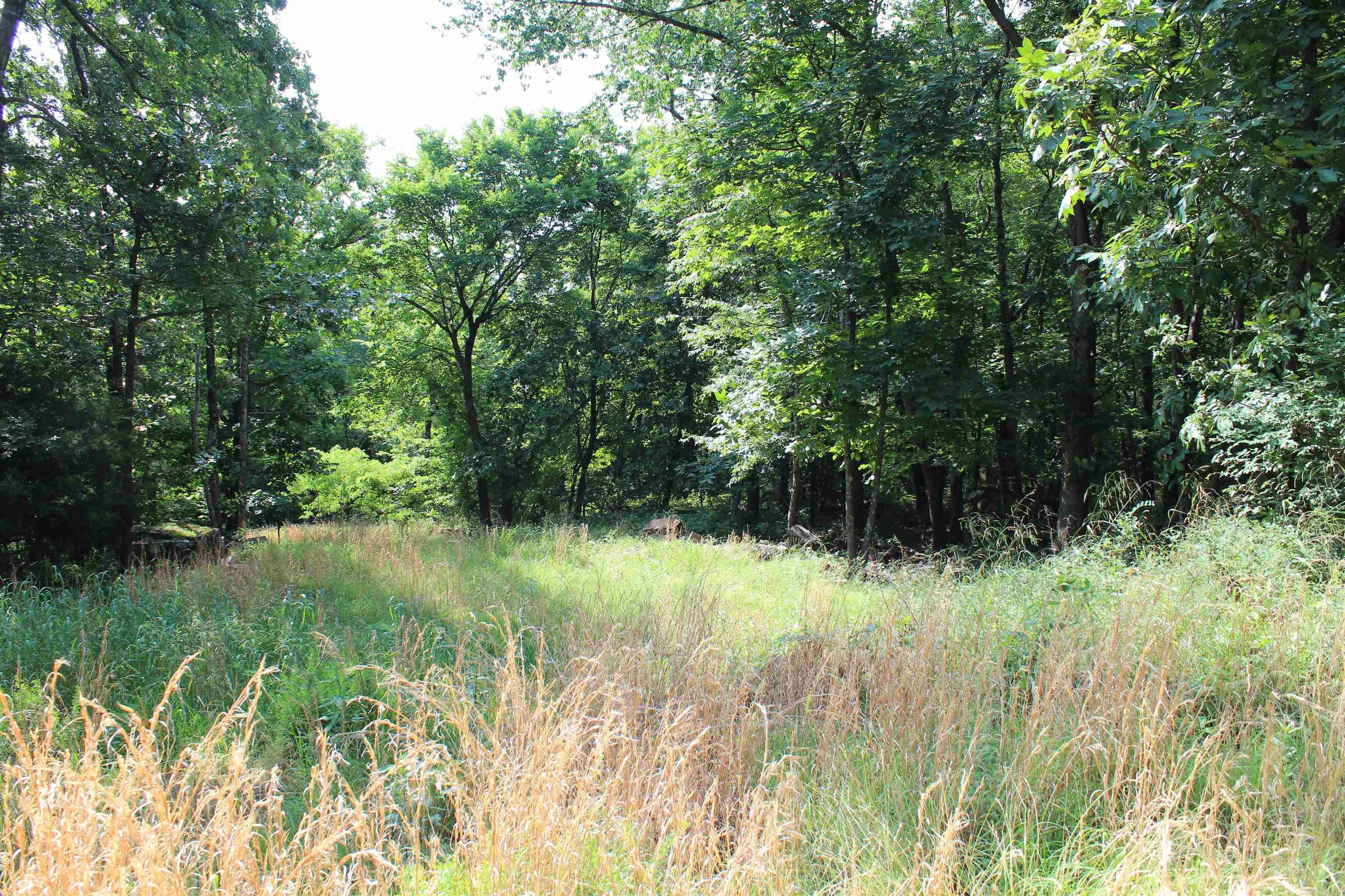 ooo Blue Mountain Rd  Prairie Grove, AR