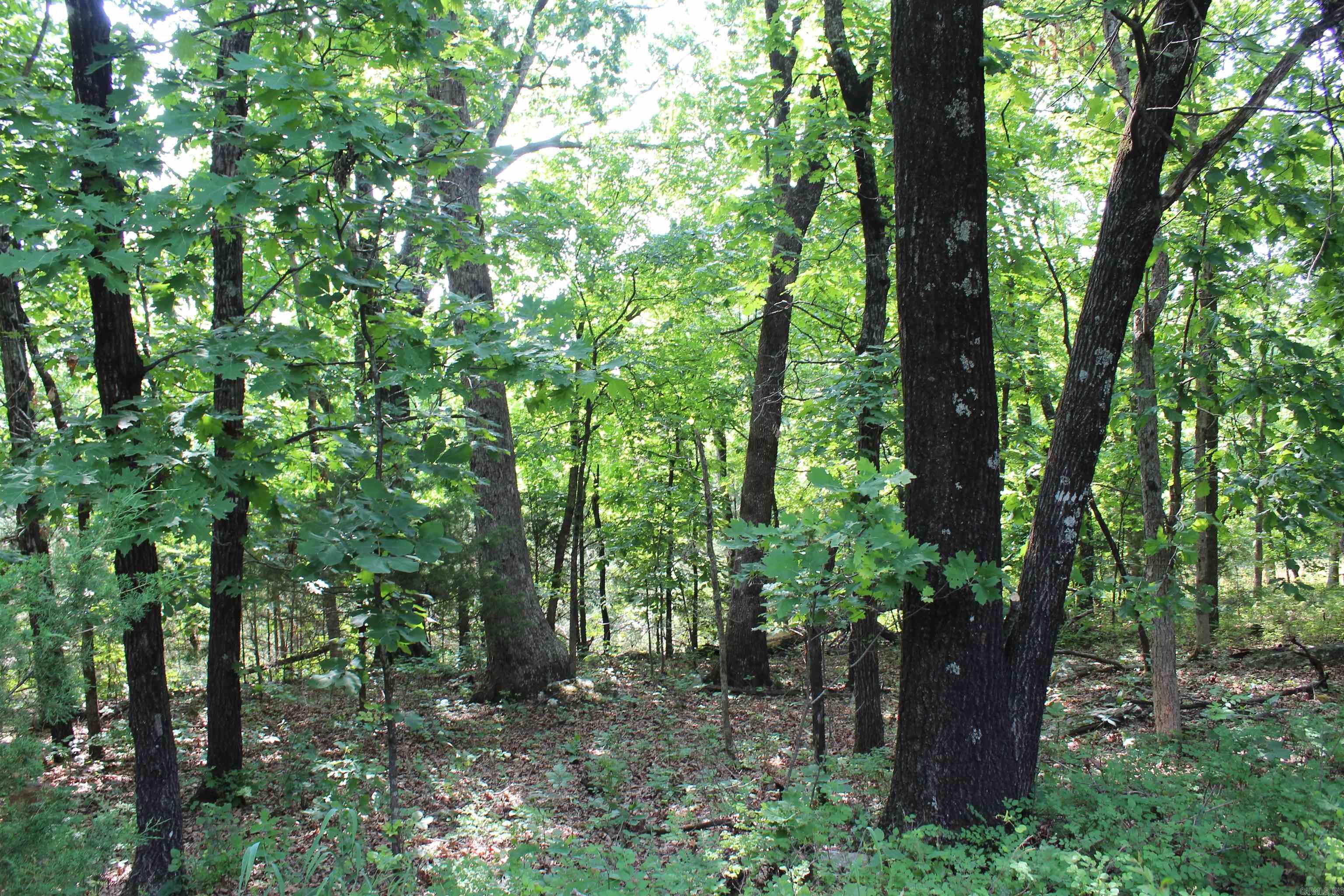 ooo Blue Mountain Rd  Prairie Grove, AR