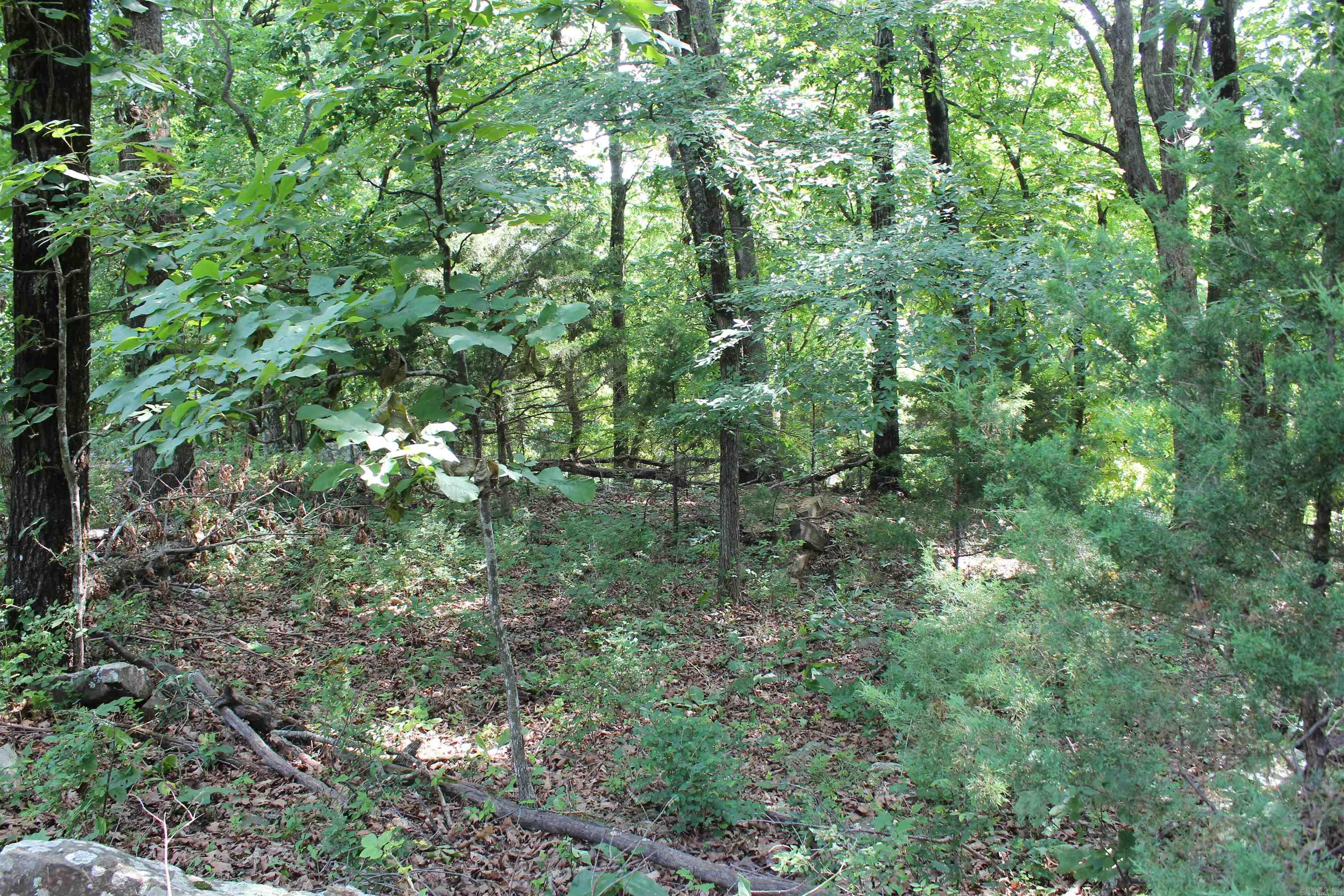 ooo Blue Mountain Rd  Prairie Grove, AR