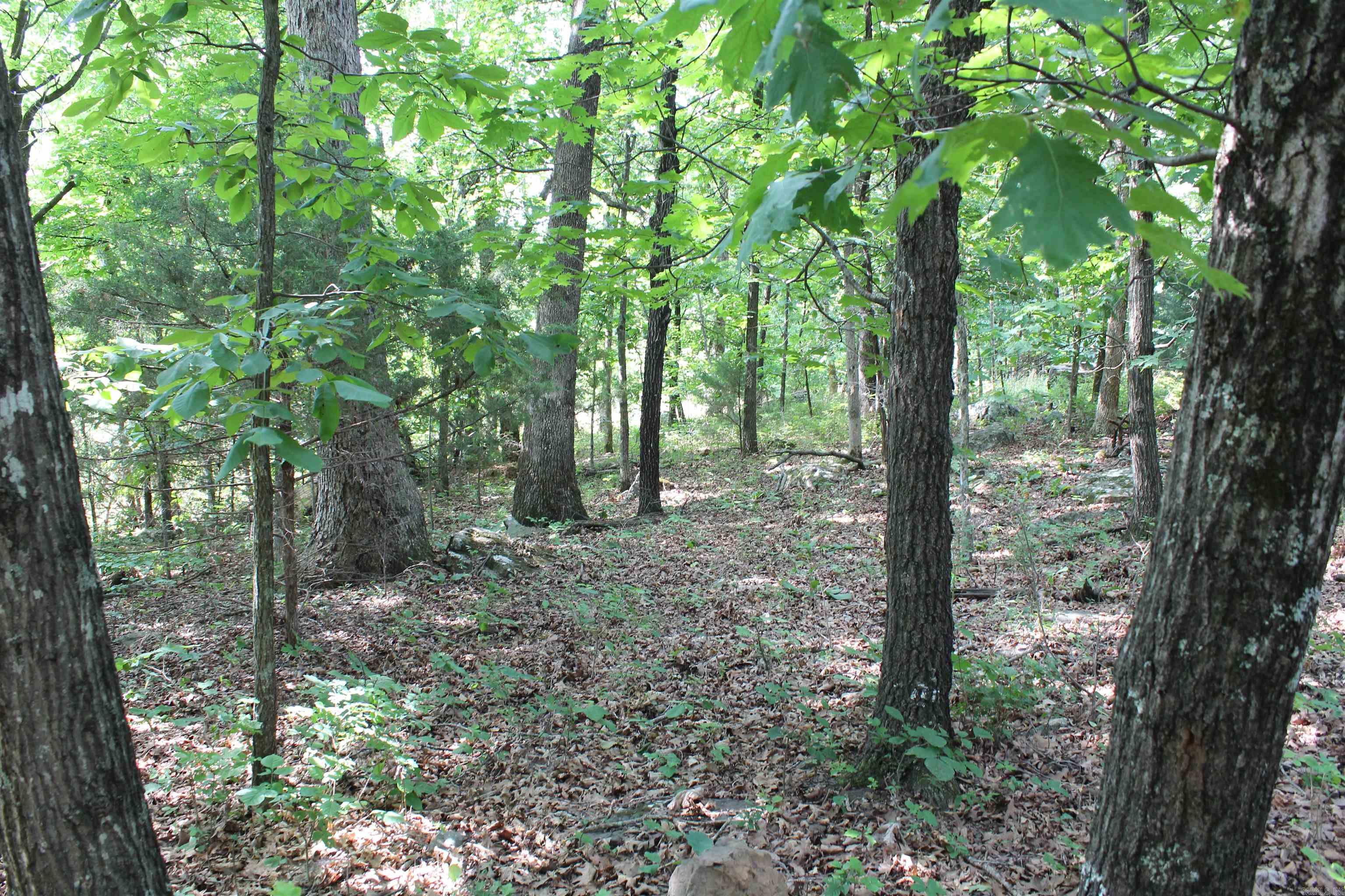 ooo Blue Mountain Rd  Prairie Grove, AR