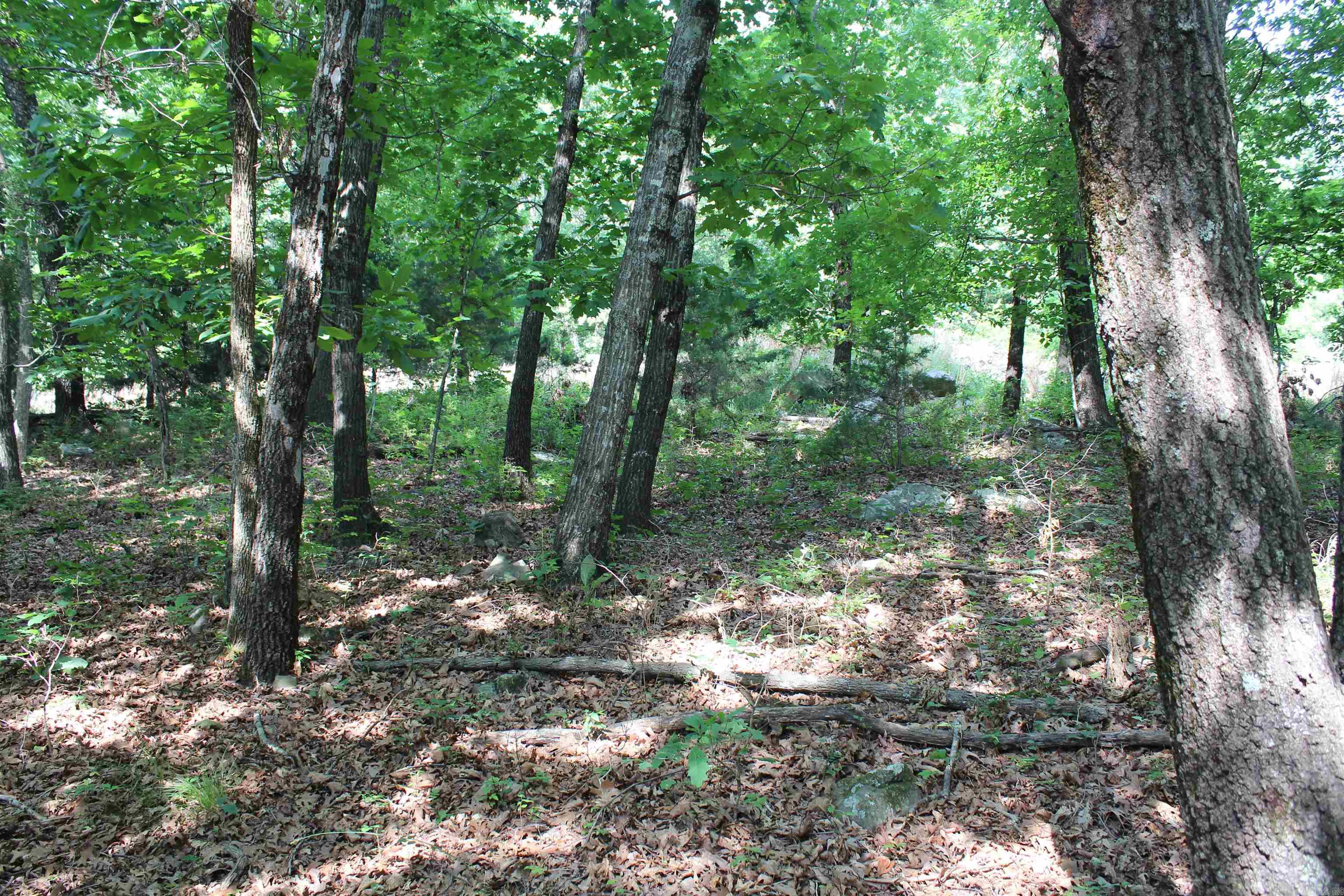 ooo Blue Mountain Rd  Prairie Grove, AR