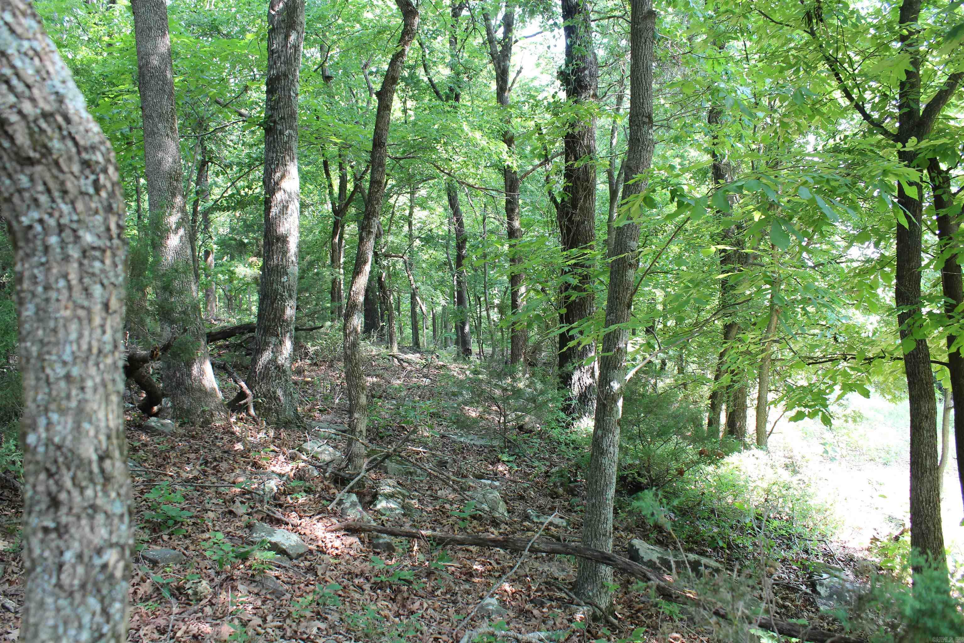 ooo Blue Mountain Rd  Prairie Grove, AR