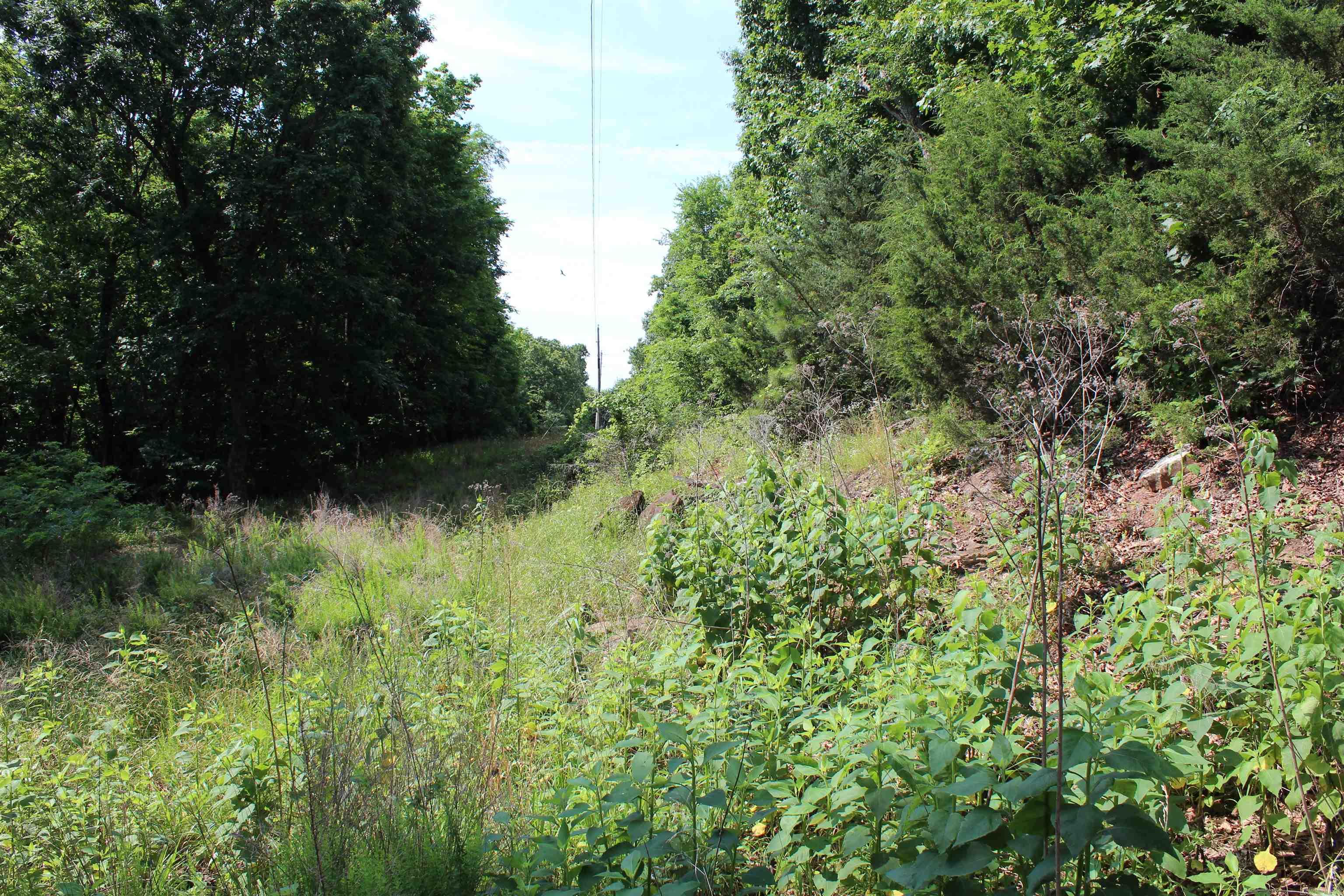 ooo Blue Mountain Rd  Prairie Grove, AR