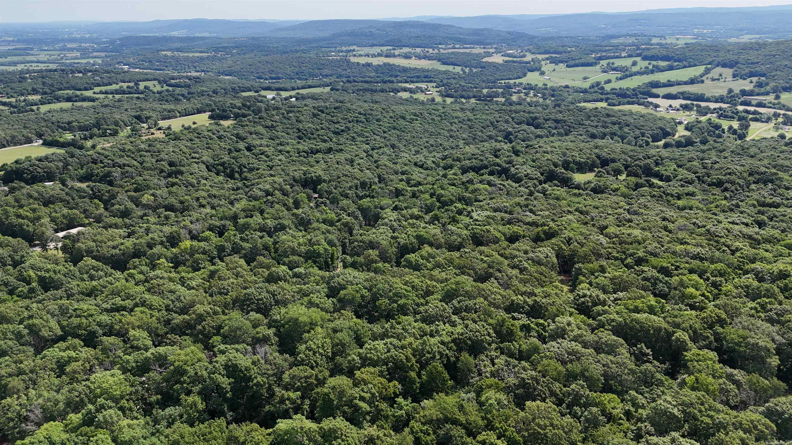 ooo Blue Mountain Rd  Prairie Grove, AR