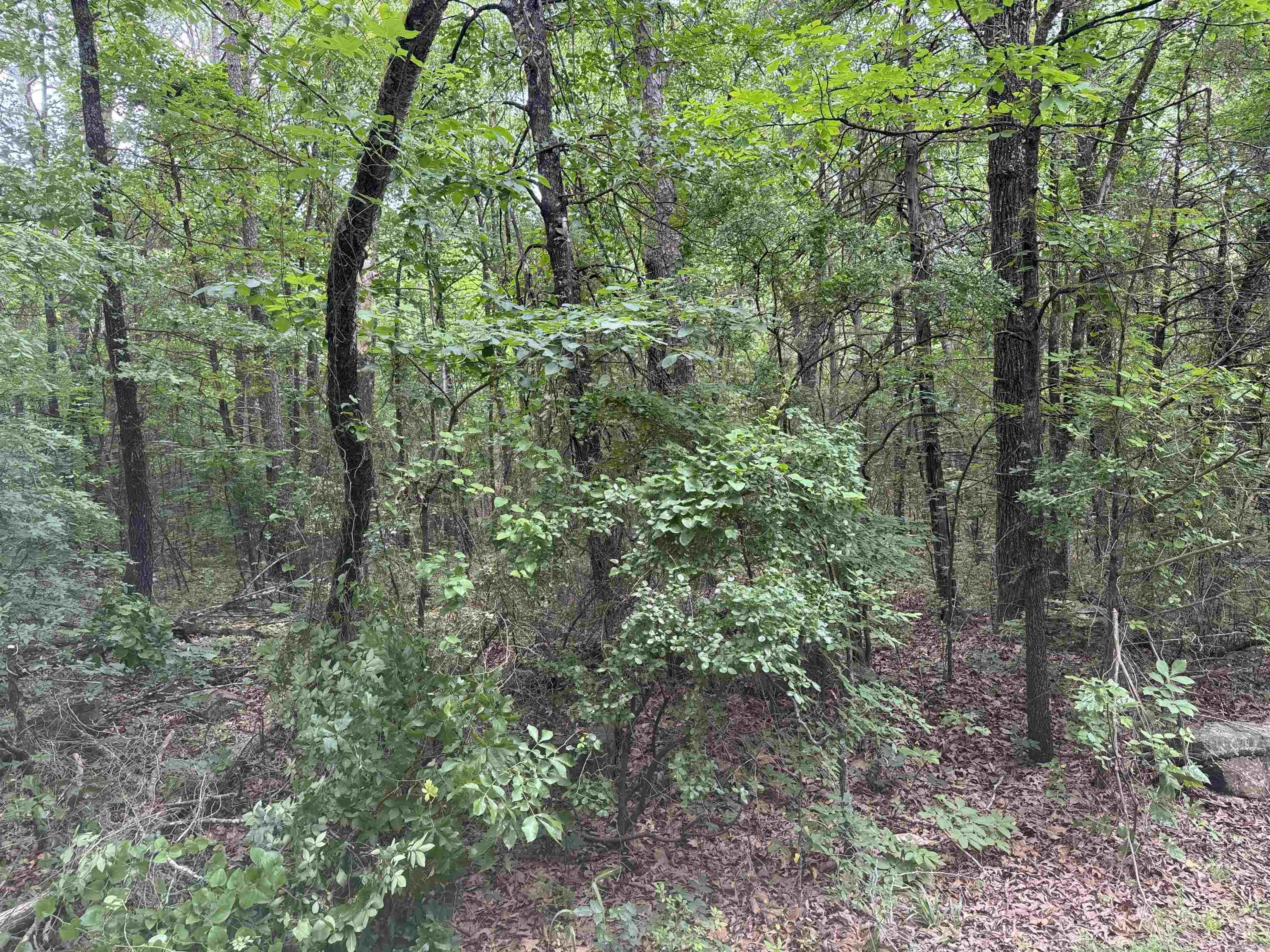 00 NO. BROADWAY  Heber Springs, AR