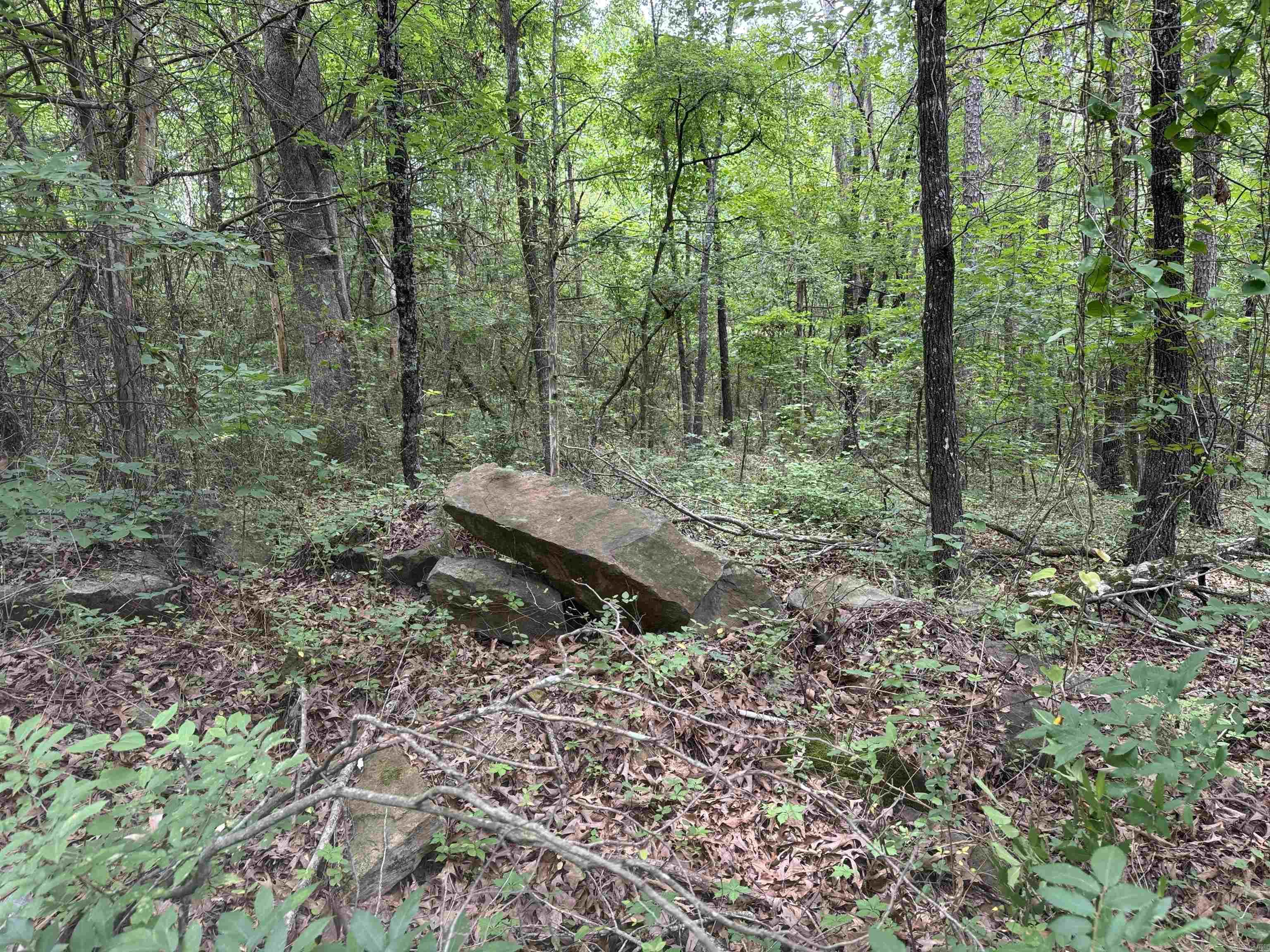 00 NO. BROADWAY  Heber Springs, AR