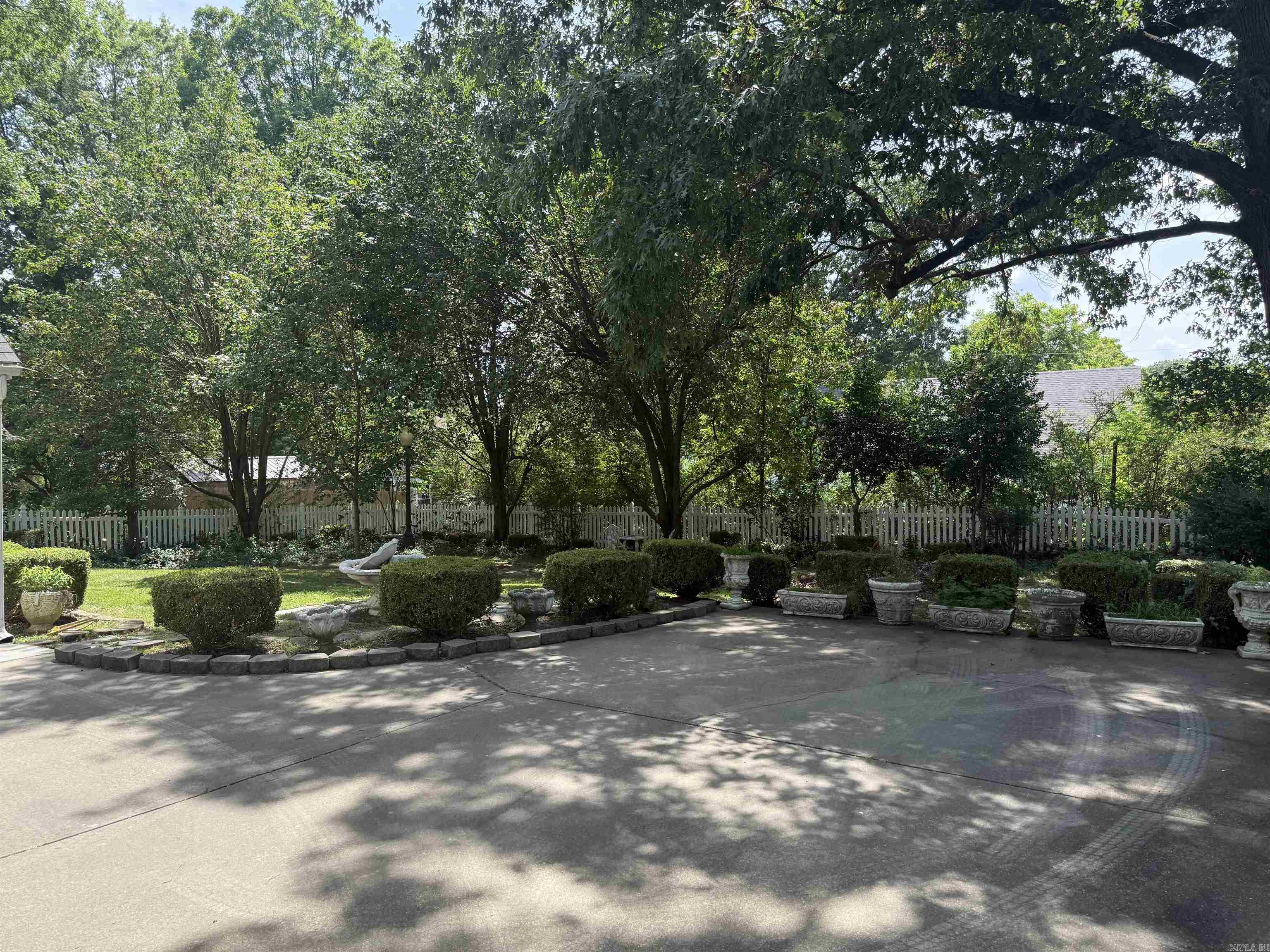 Back yard