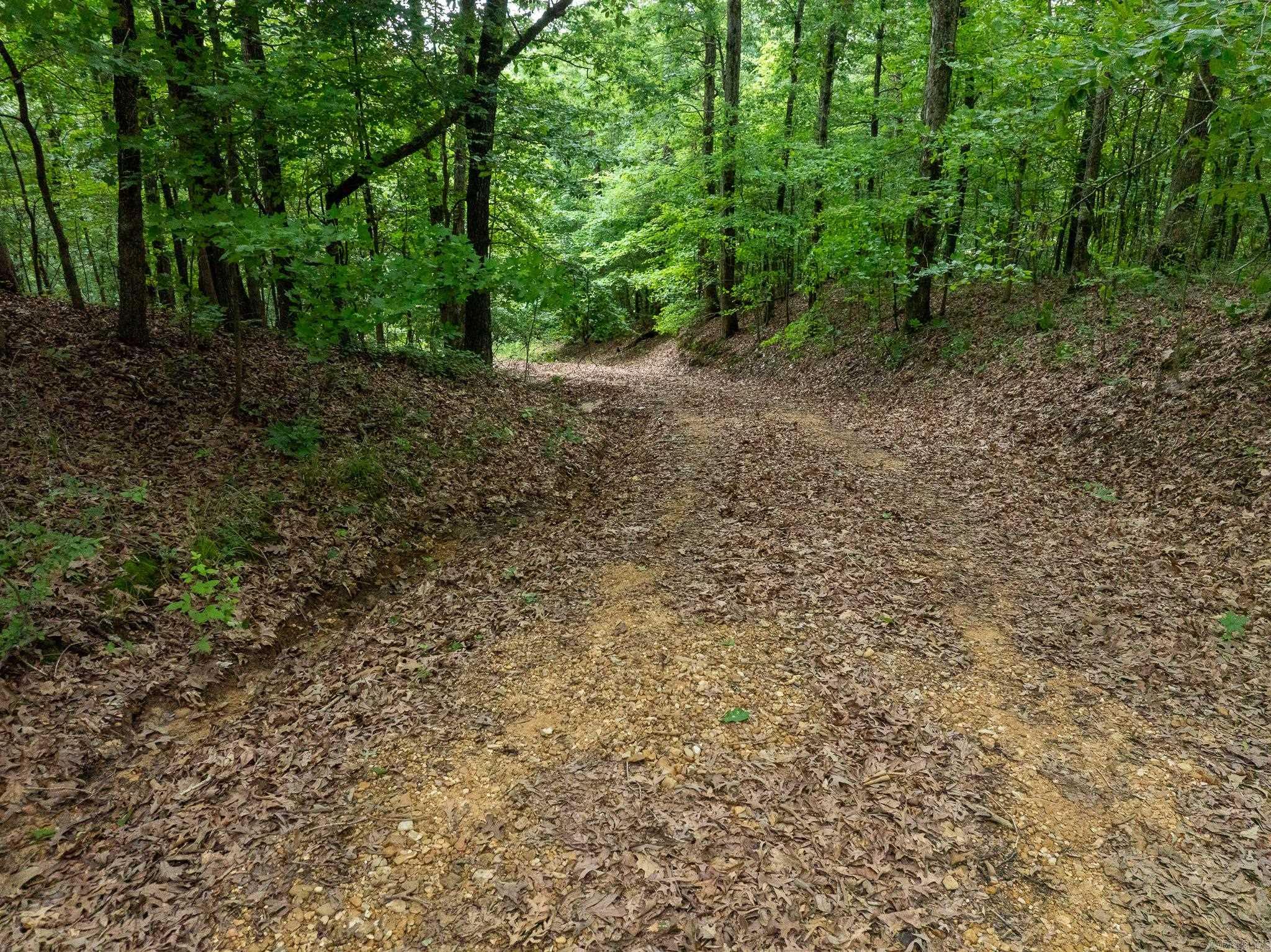 000 Bay Lane  Harrisburg, AR