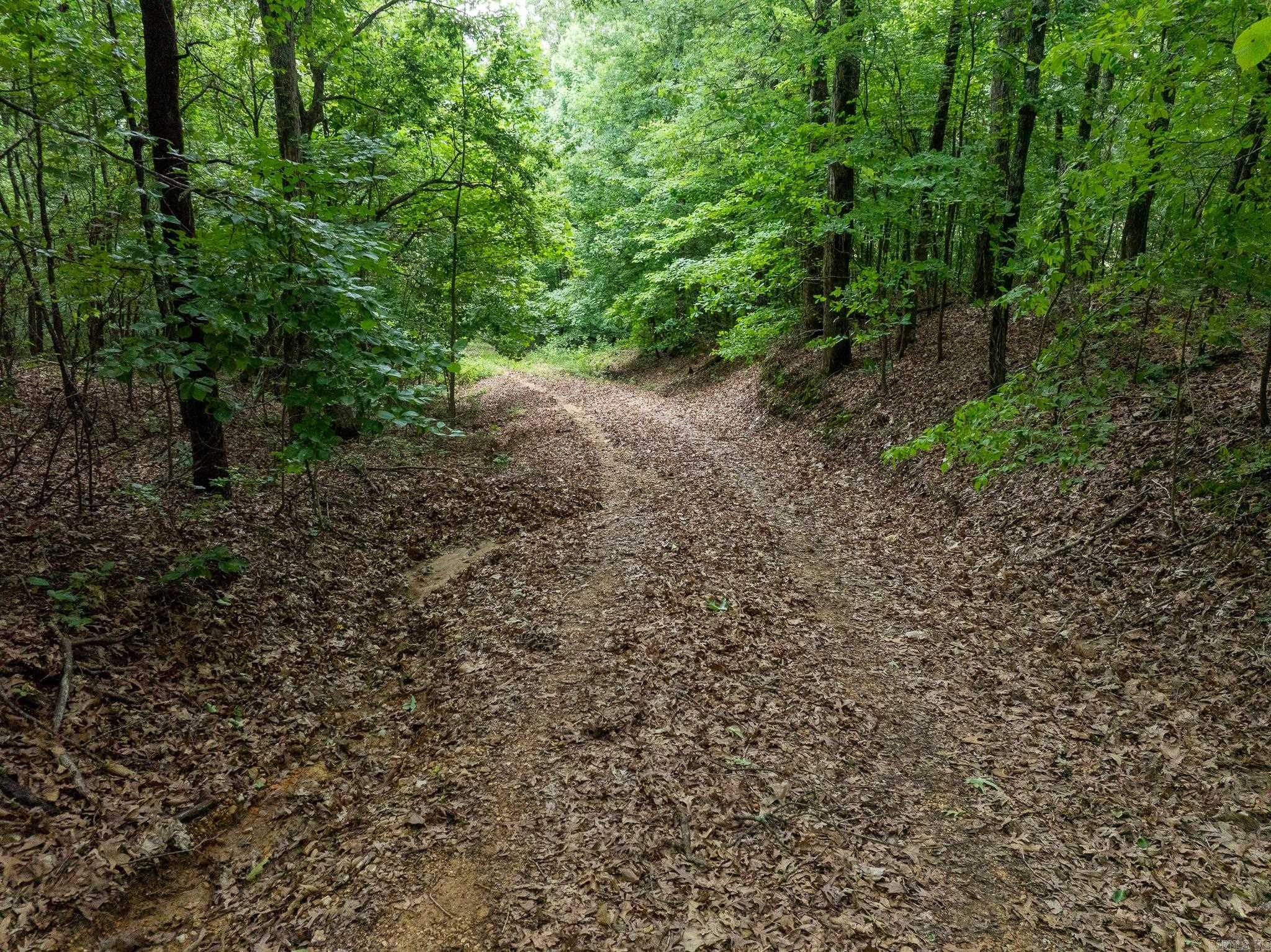 000 Bay Lane  Harrisburg, AR