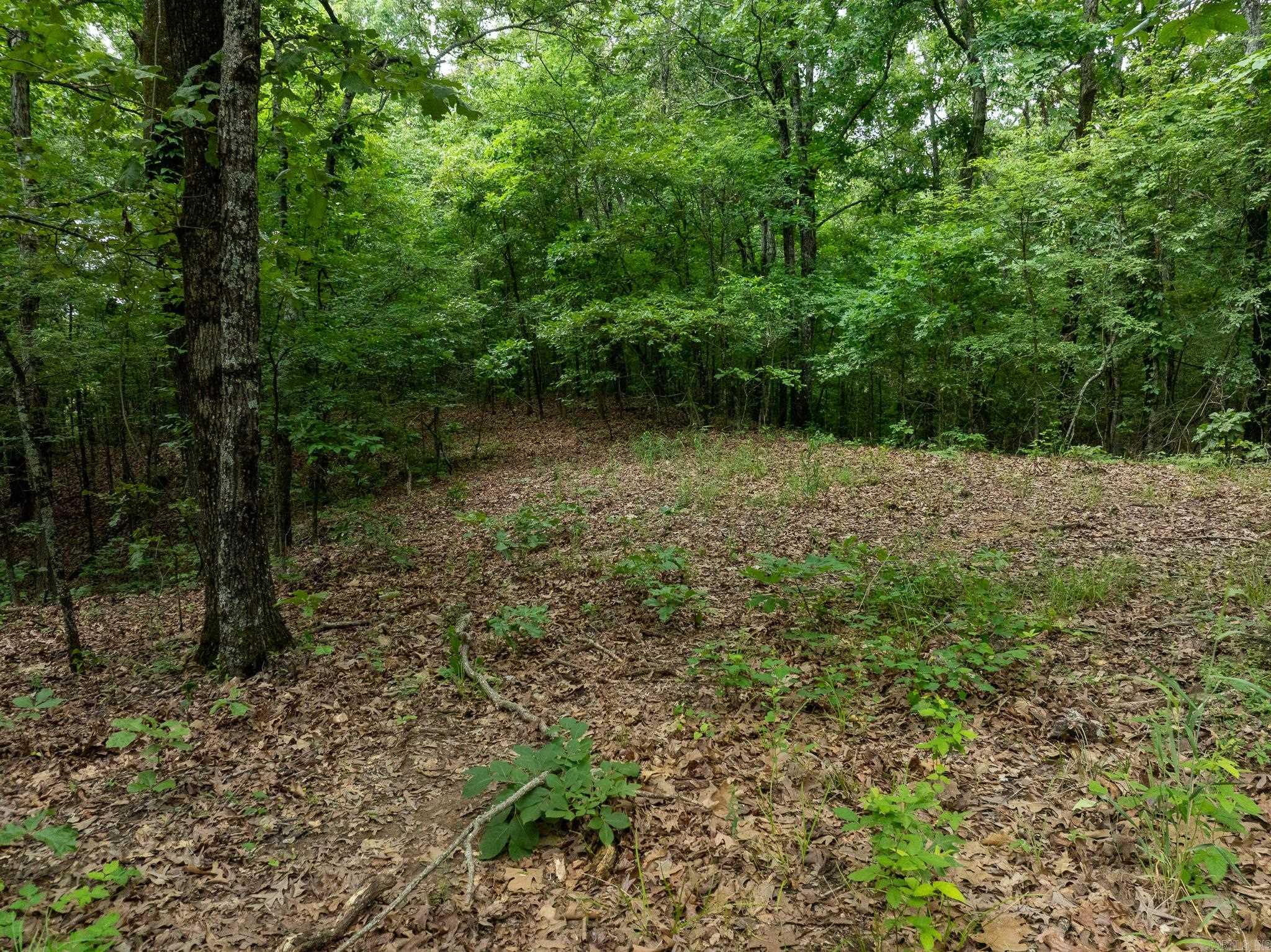 000 Bay Lane  Harrisburg, AR