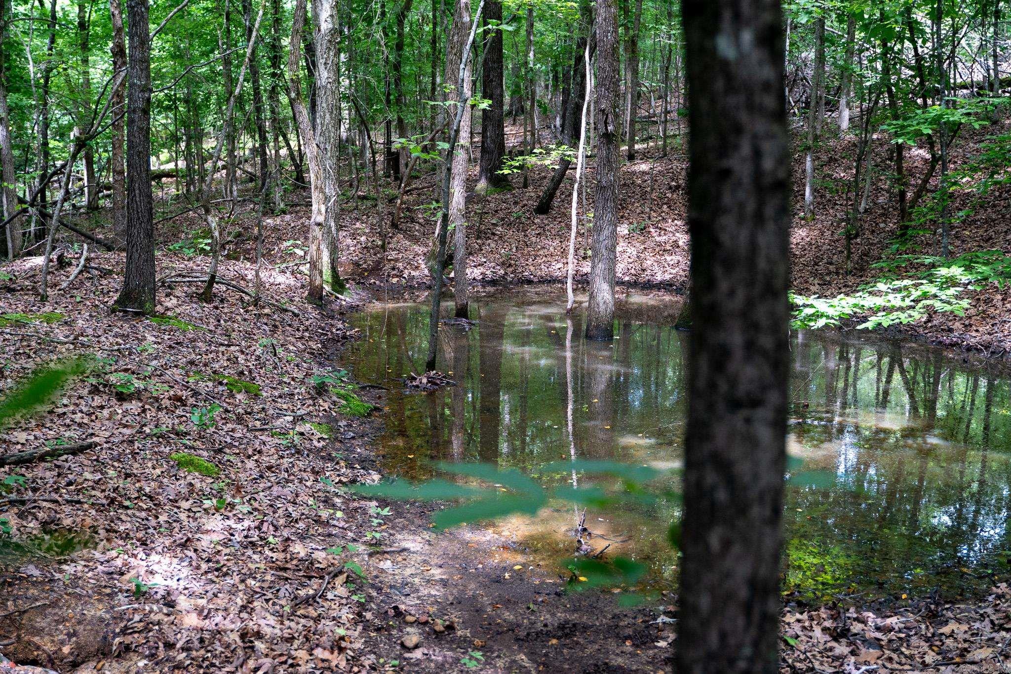 000 Bay Lane  Harrisburg, AR