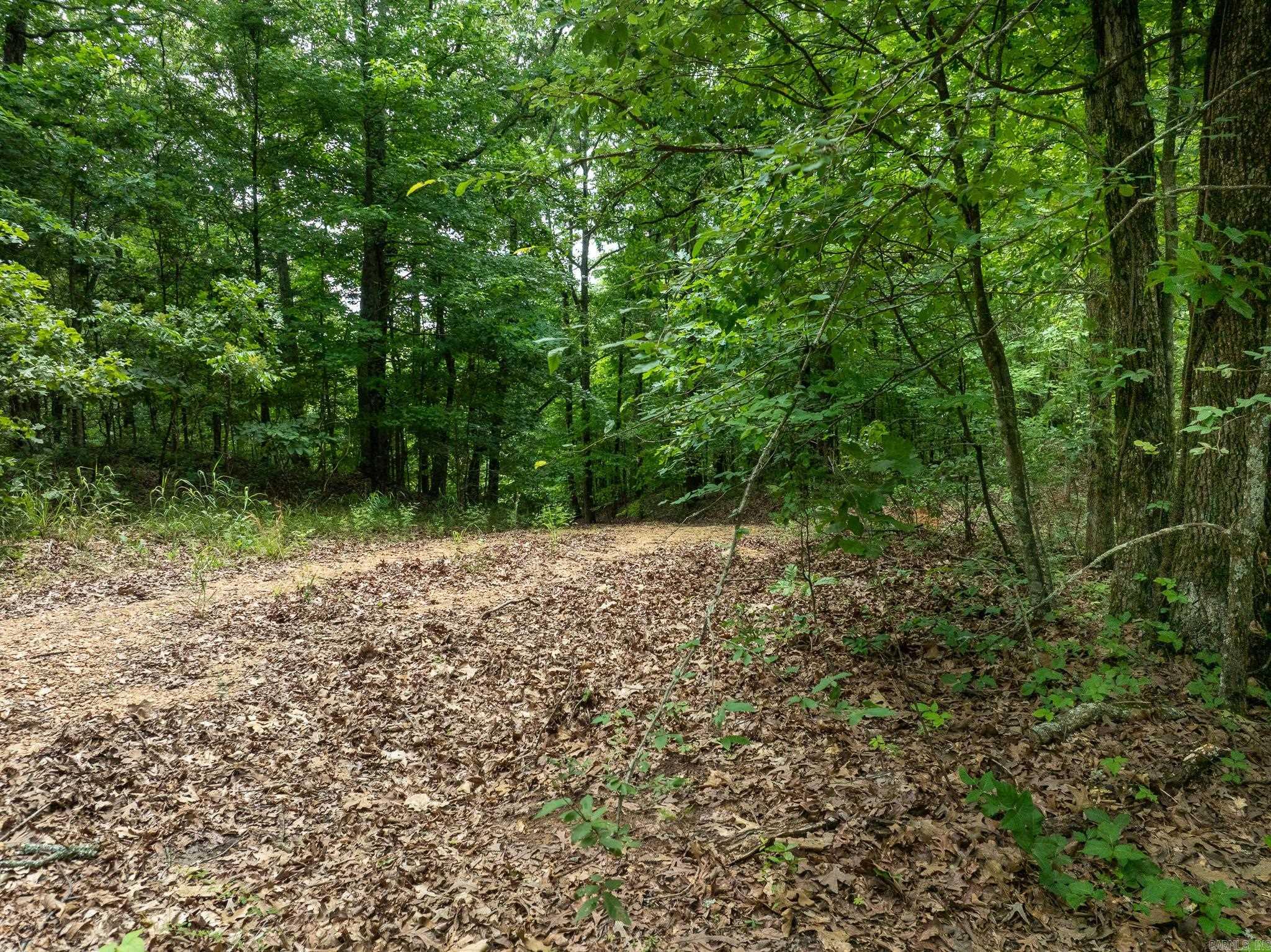 000 Bay Lane  Harrisburg, AR