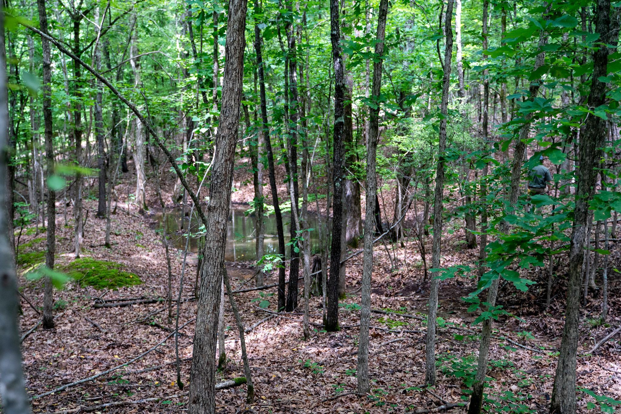 000 Bay Lane  Harrisburg, AR
