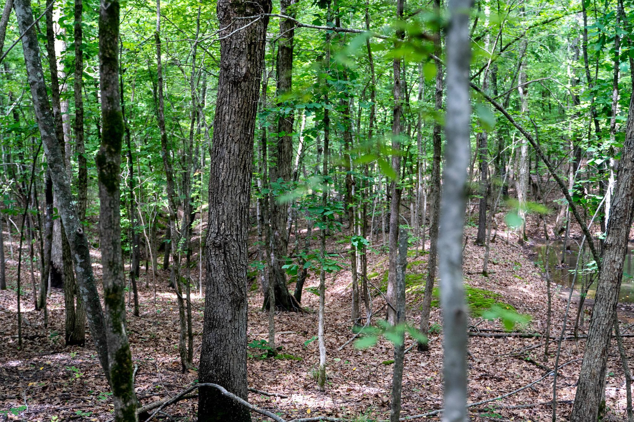 000 Bay Lane  Harrisburg, AR