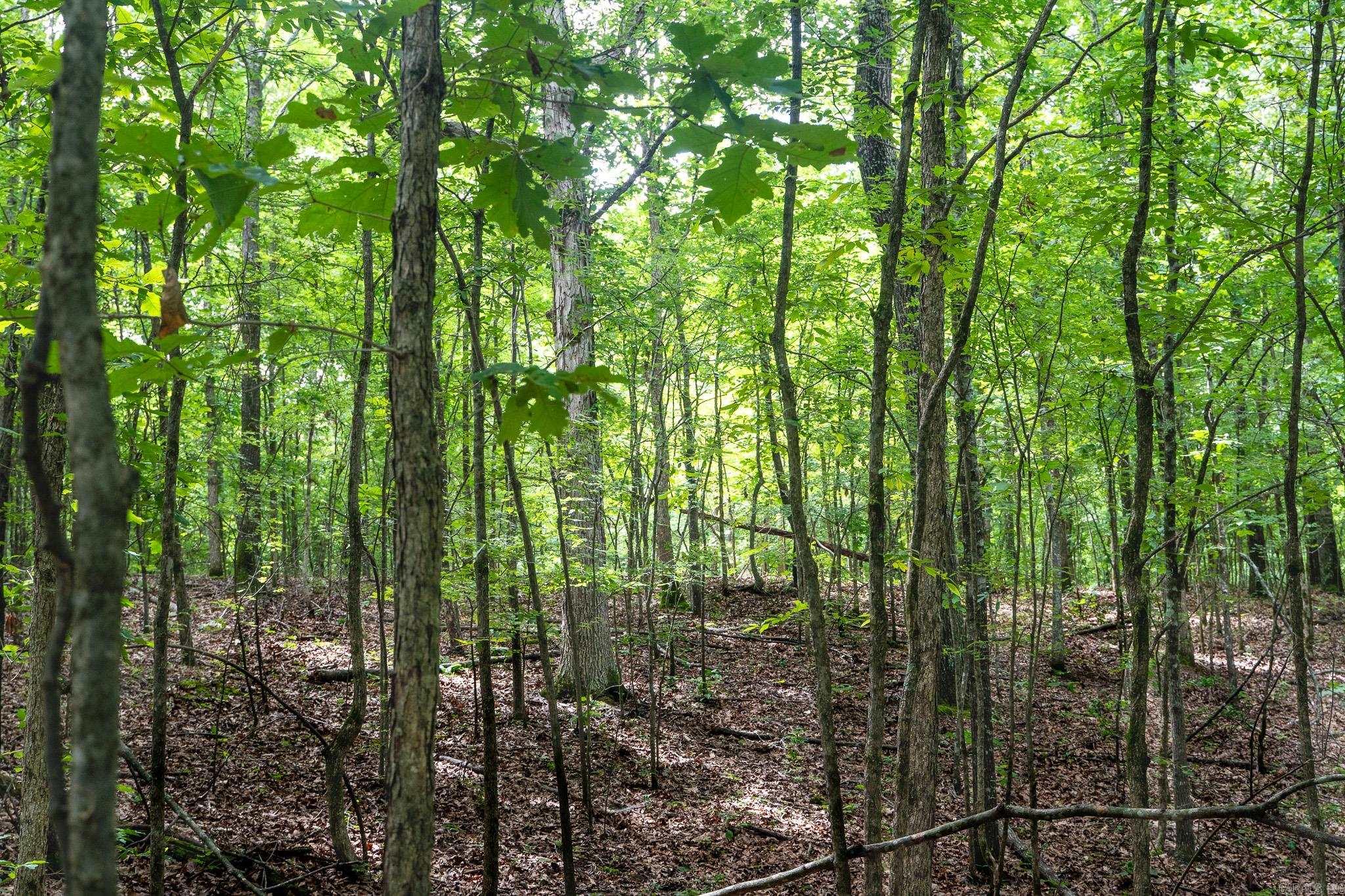 000 Bay Lane  Harrisburg, AR