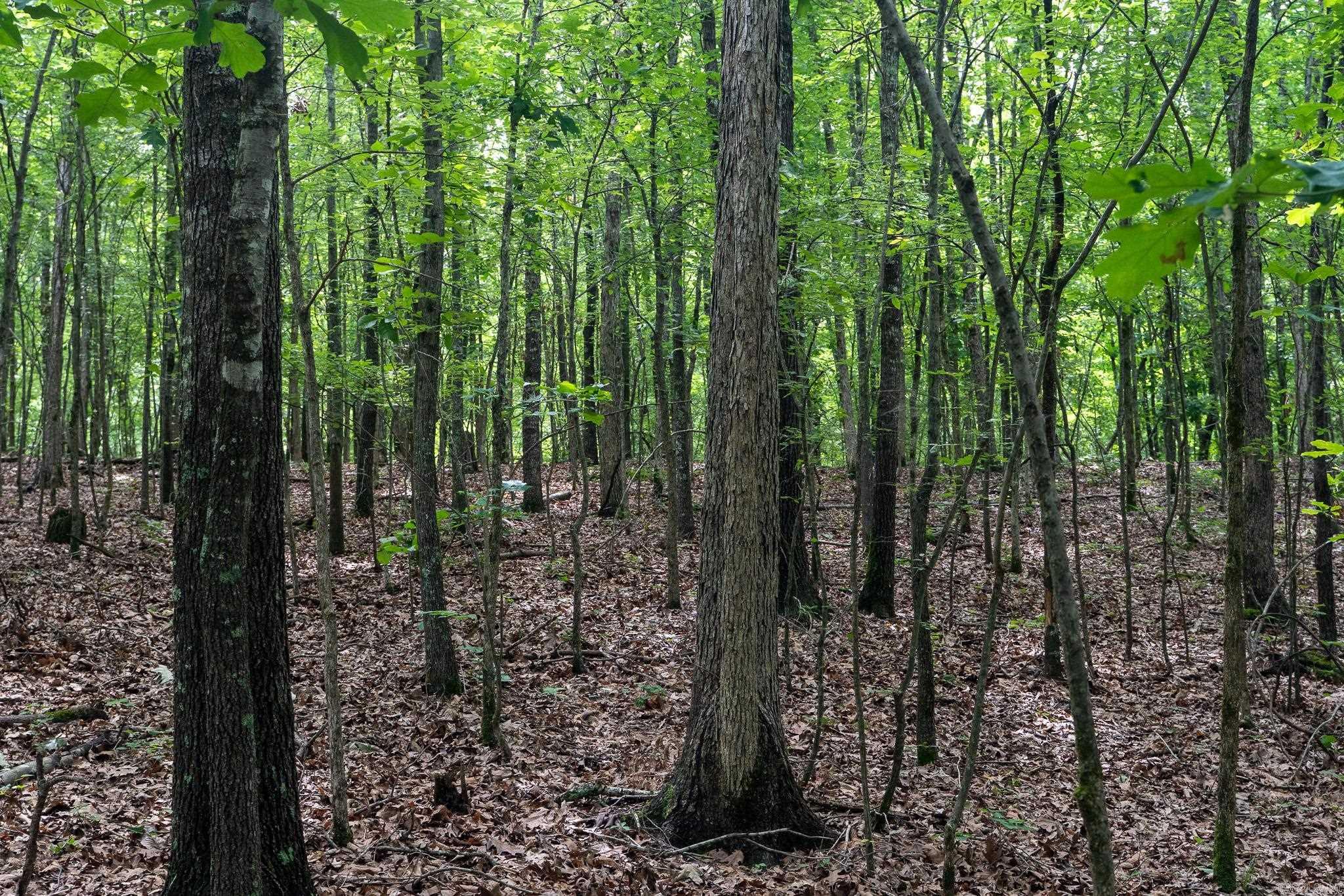 000 Bay Lane  Harrisburg, AR