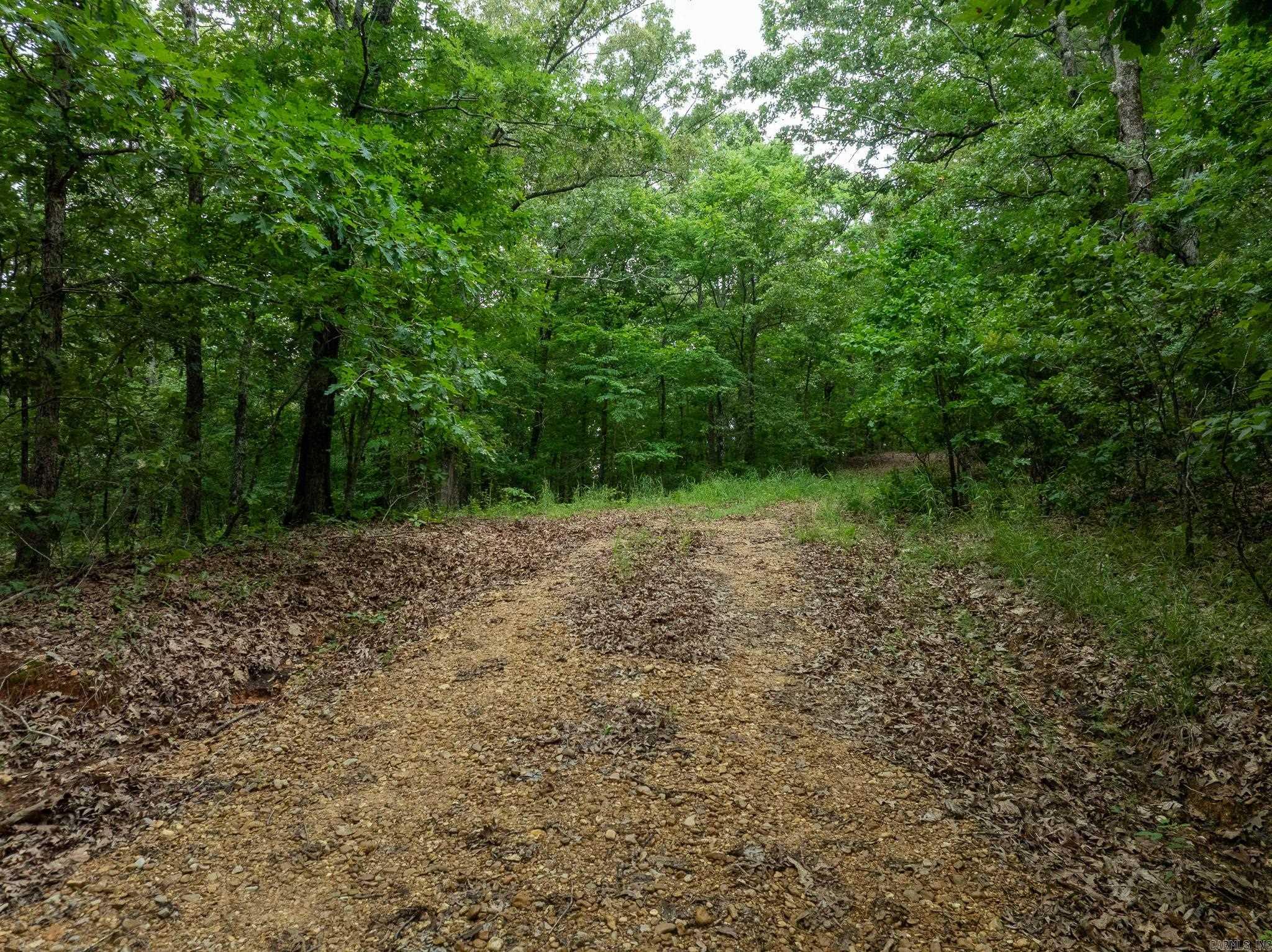 000 Bay Lane  Harrisburg, AR