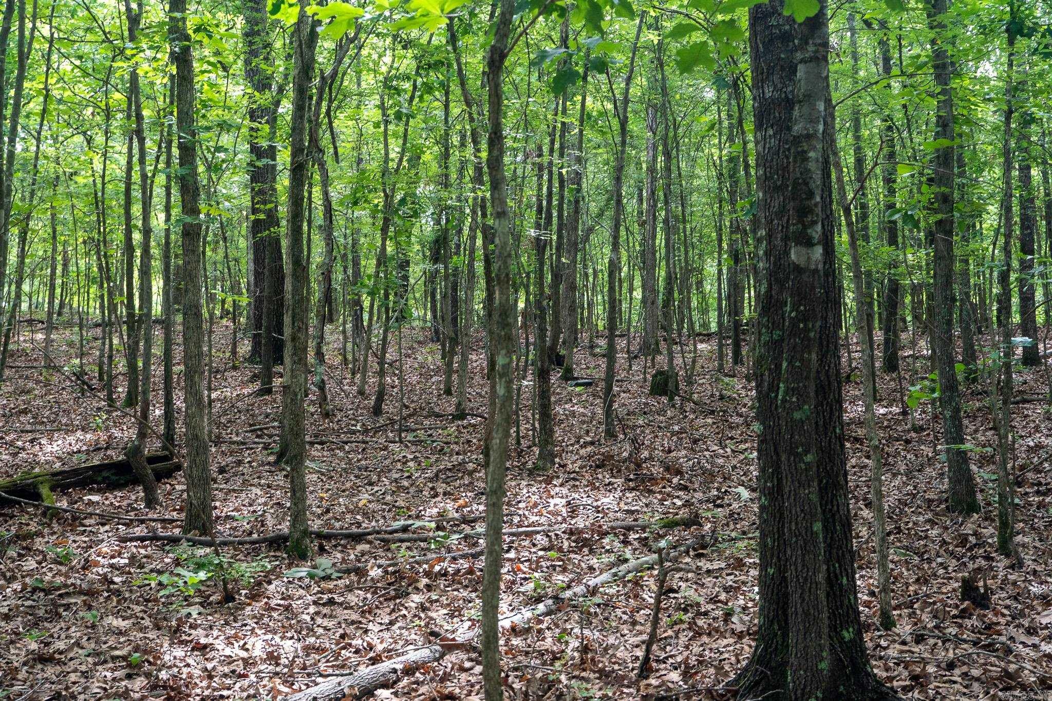 000 Bay Lane  Harrisburg, AR