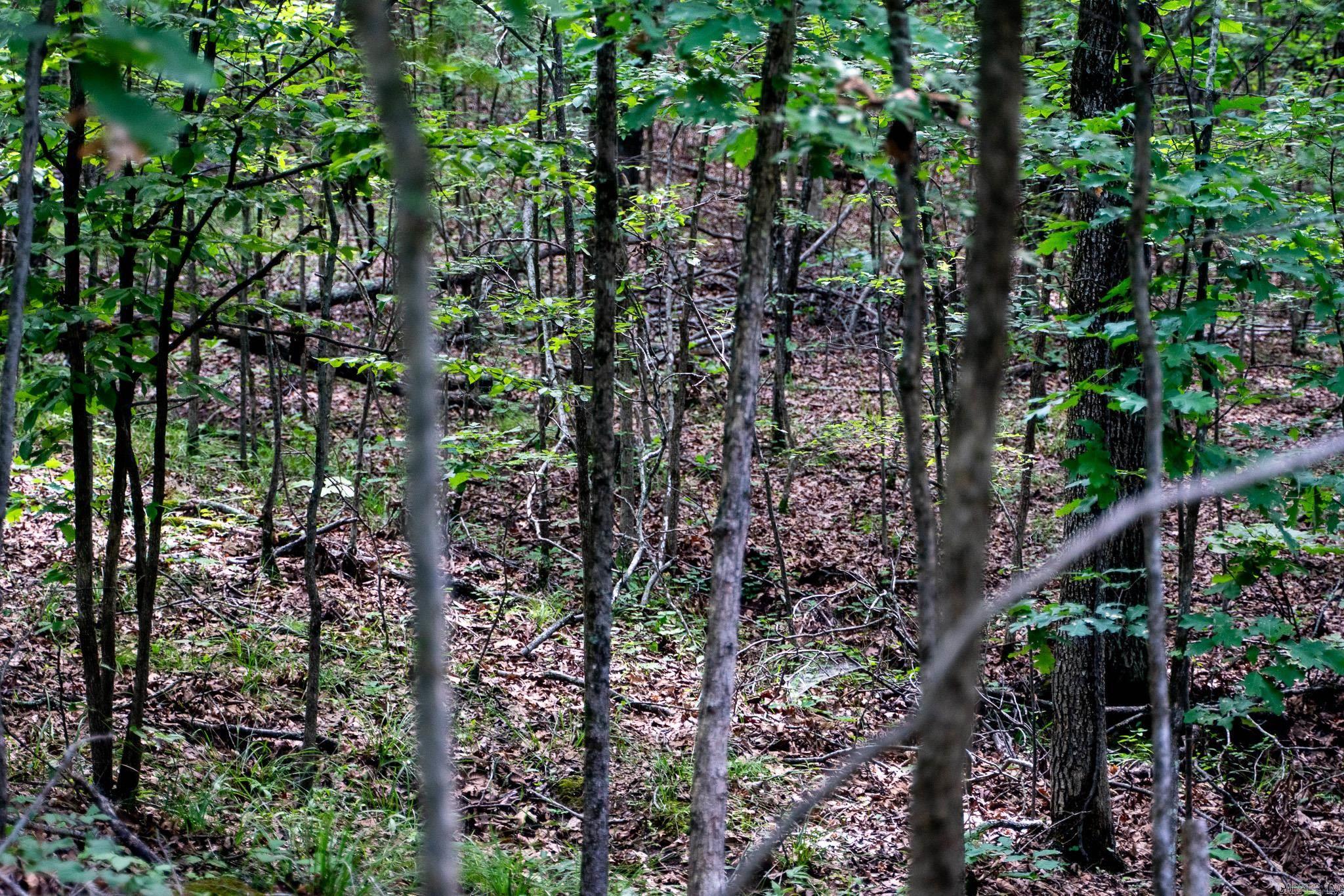 000 Bay Lane  Harrisburg, AR