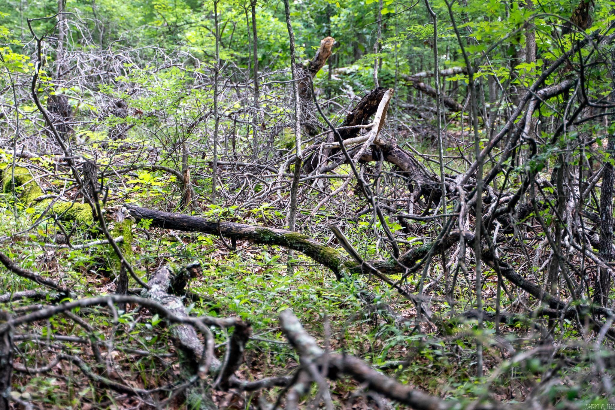 000 Bay Lane  Harrisburg, AR