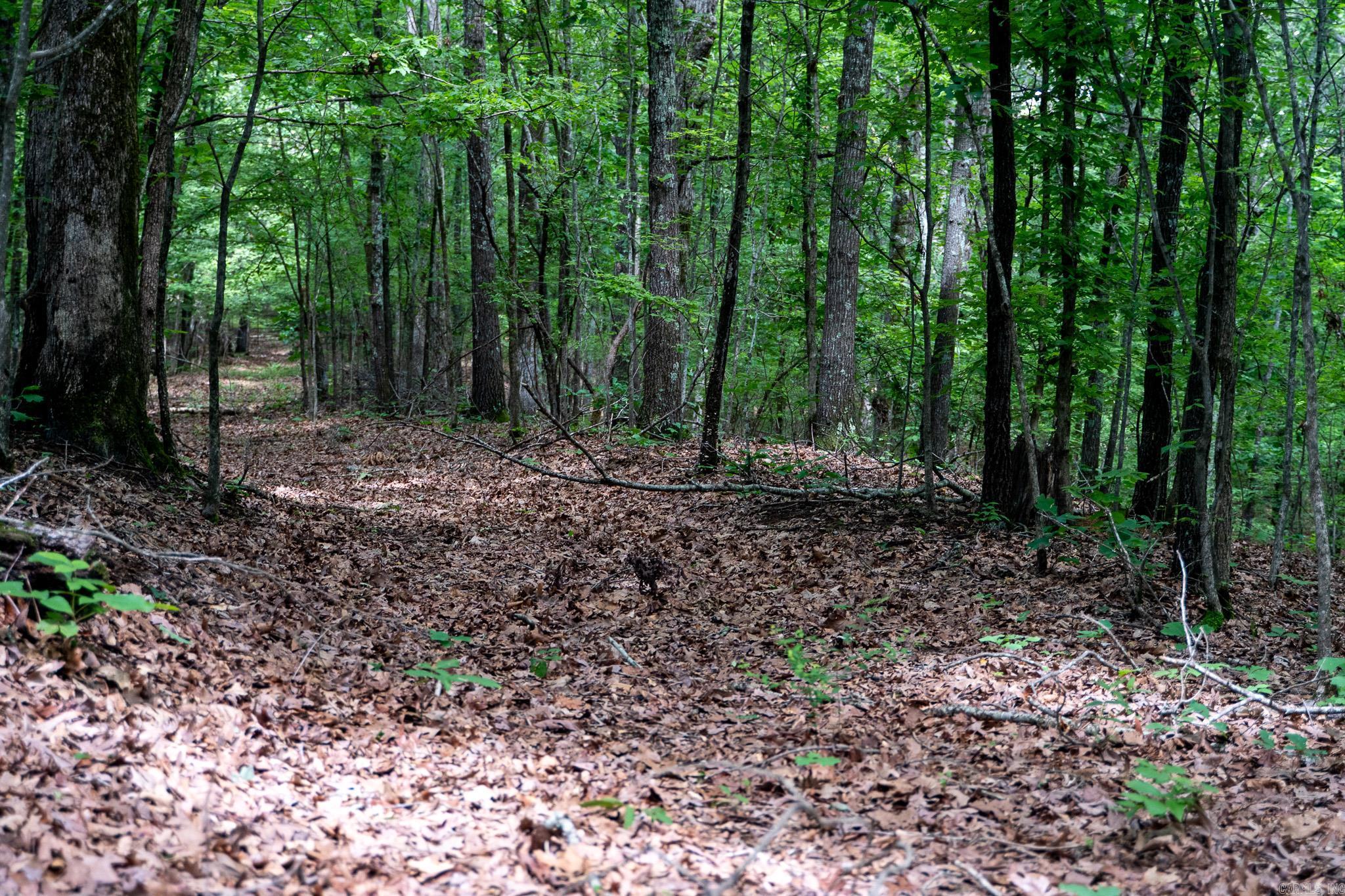 000 Bay Lane  Harrisburg, AR