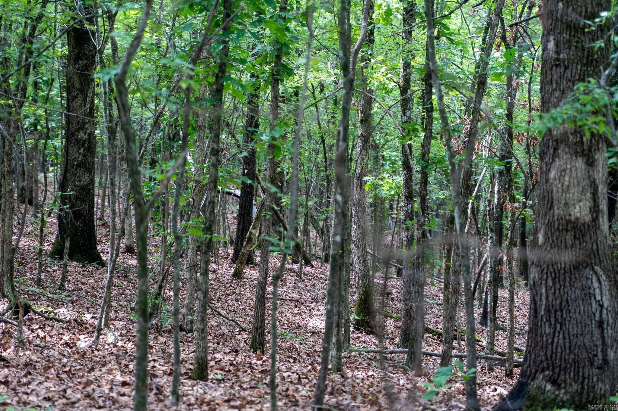 000 Bay Lane  Harrisburg, AR