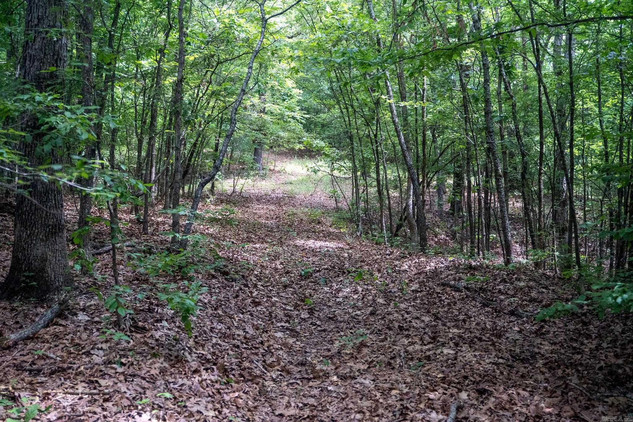 000 Bay Lane  Harrisburg, AR