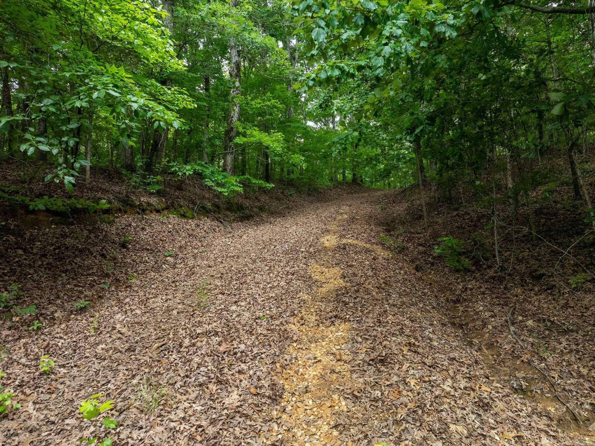 000 Bay Lane  Harrisburg, AR