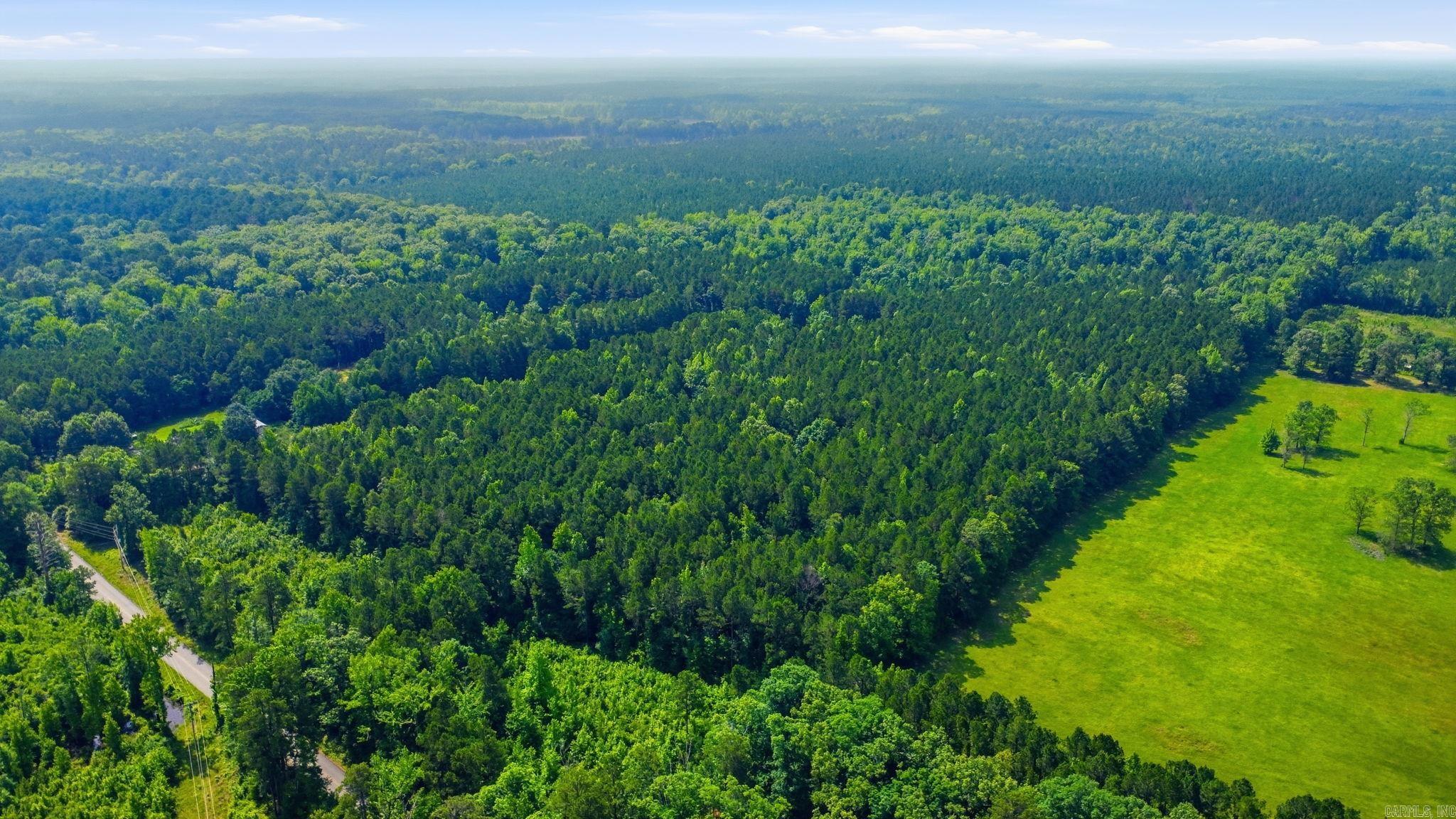 4.7 Acres (Tract 1) Grant 18  Grapevine, AR