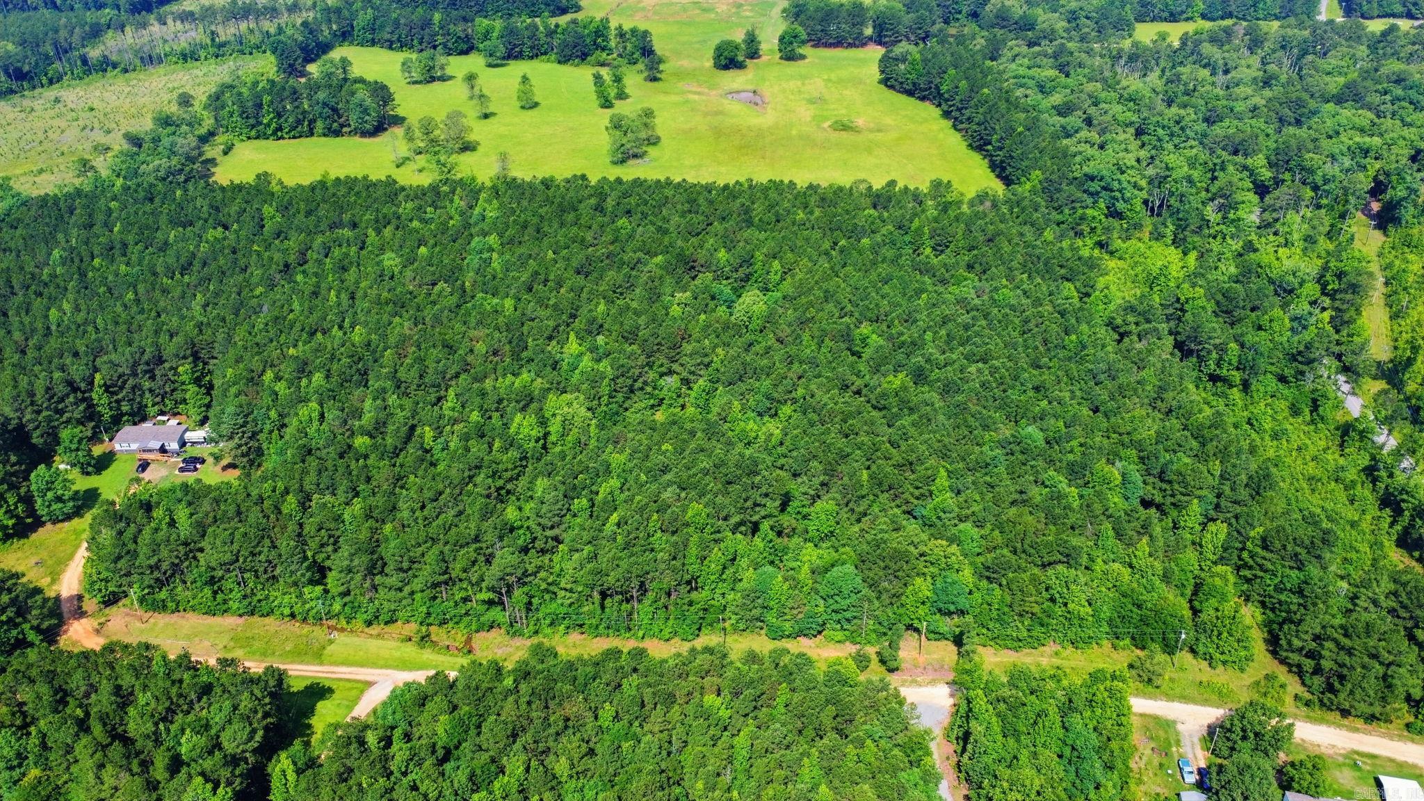 4.7 Acres (Tract 1) Grant 18  Grapevine, AR