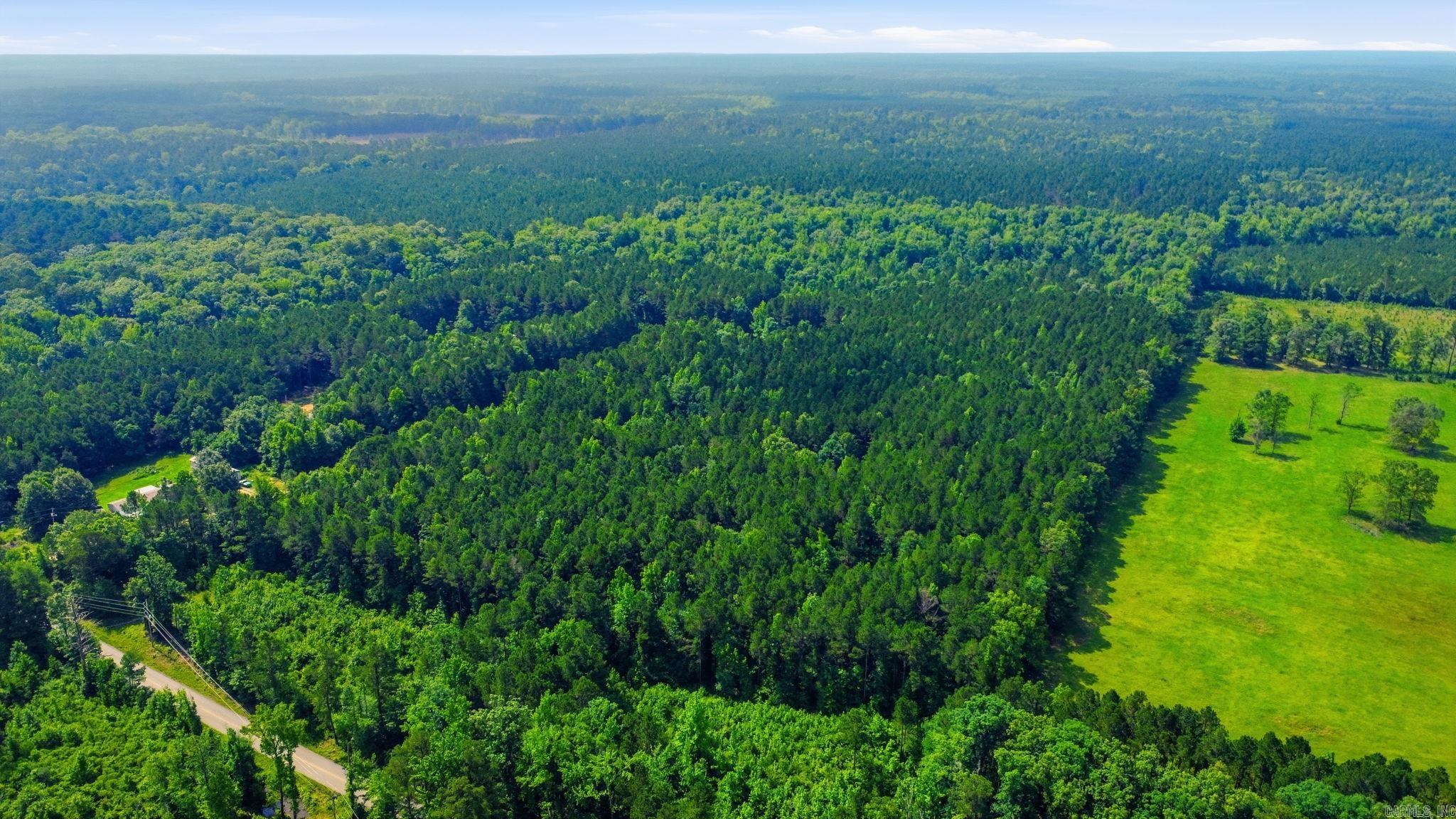4.7 Acres (Tract 2) Grant 18  Grapevine, AR