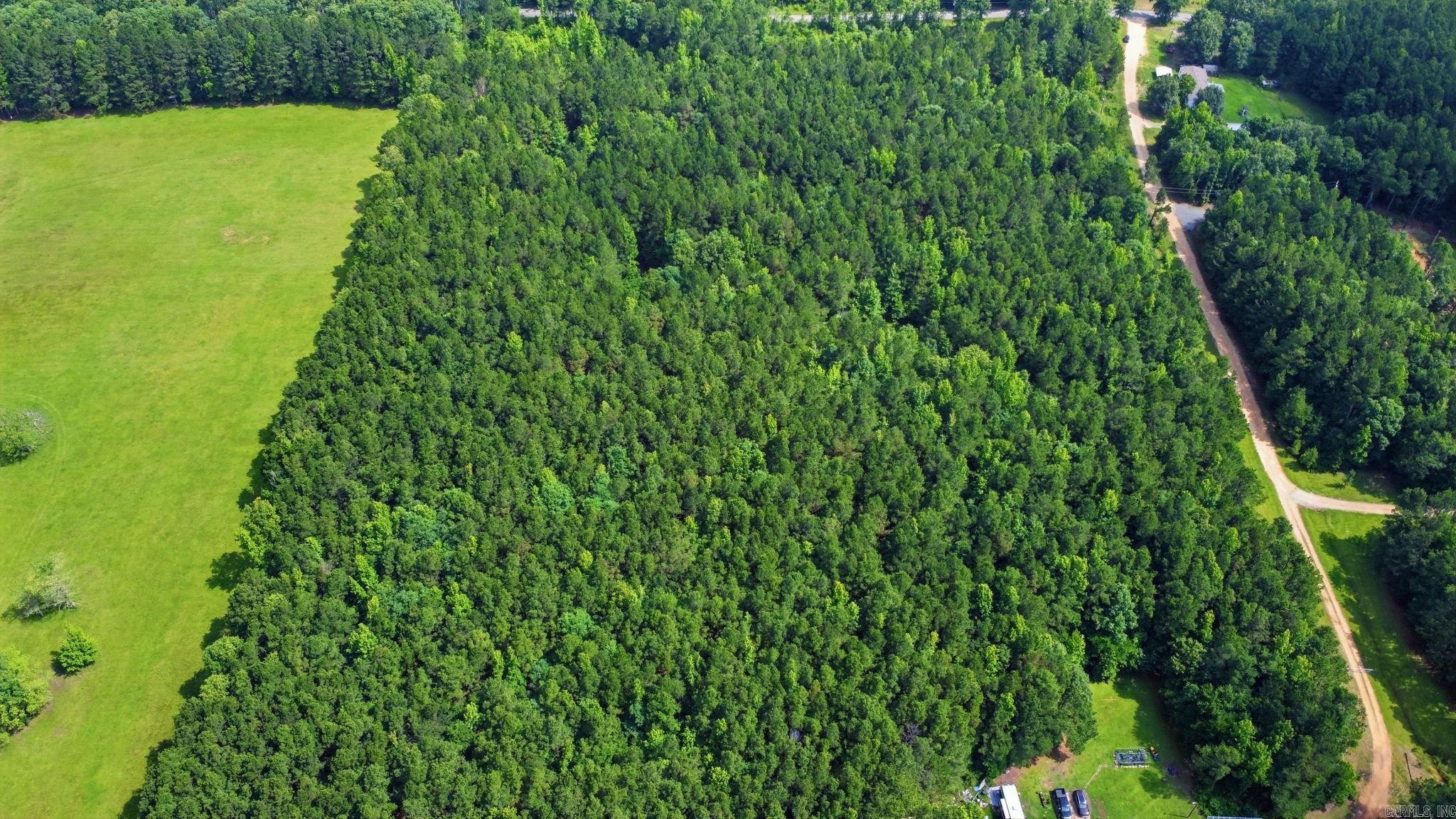 4.7 Acres (Tract 2) Grant 18  Grapevine, AR