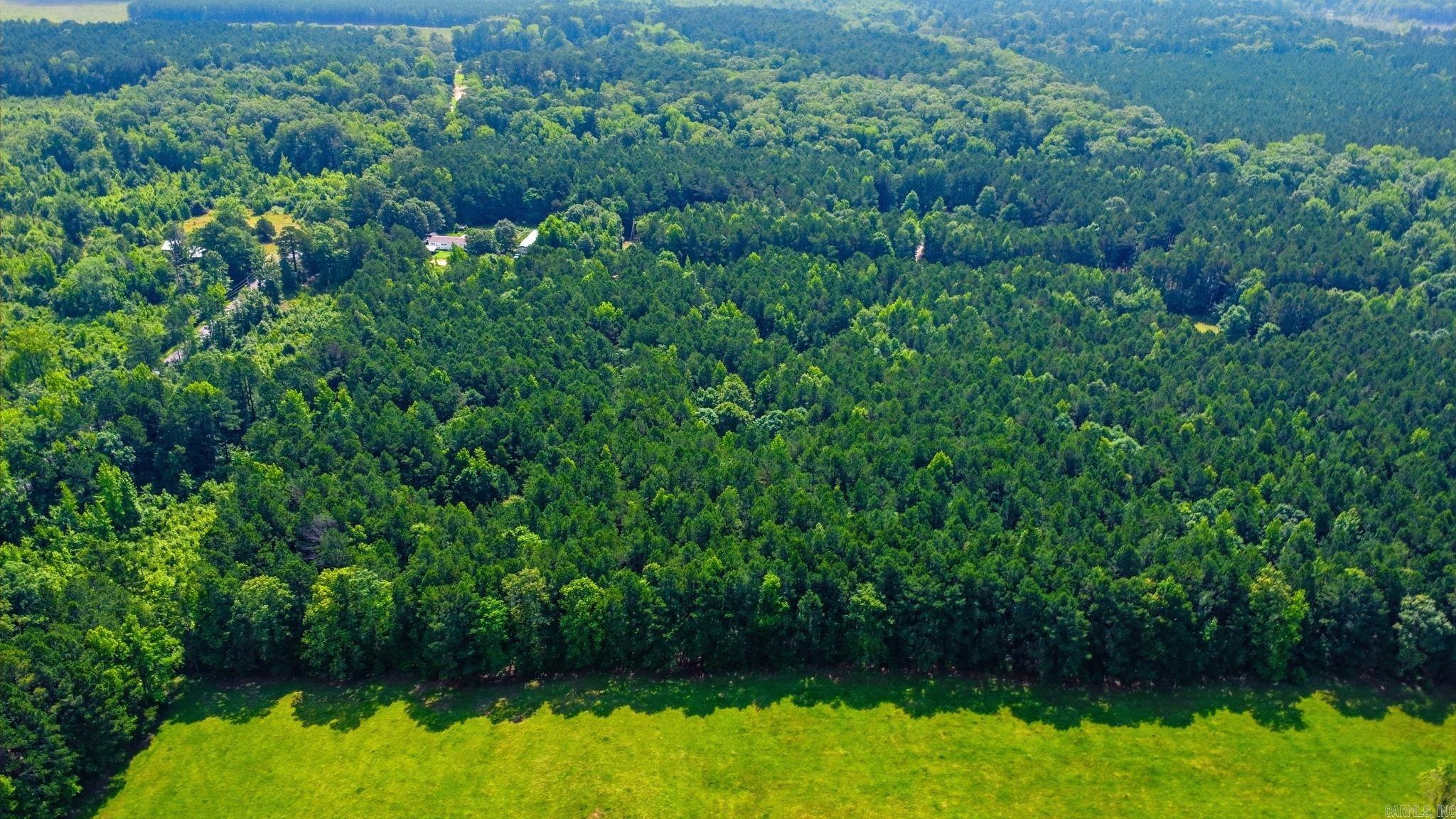 4.7 Acres (Tract 3) Grant 18  Grapevine, AR