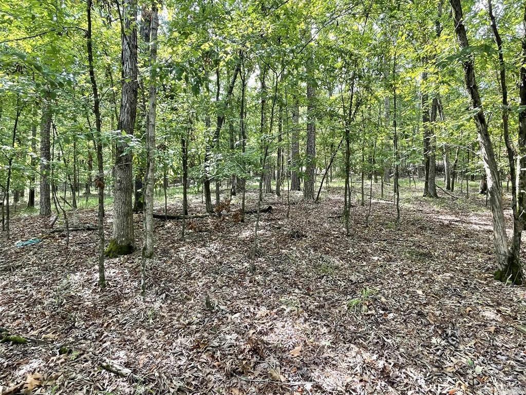 000 Spring Branch  Haskell, AR