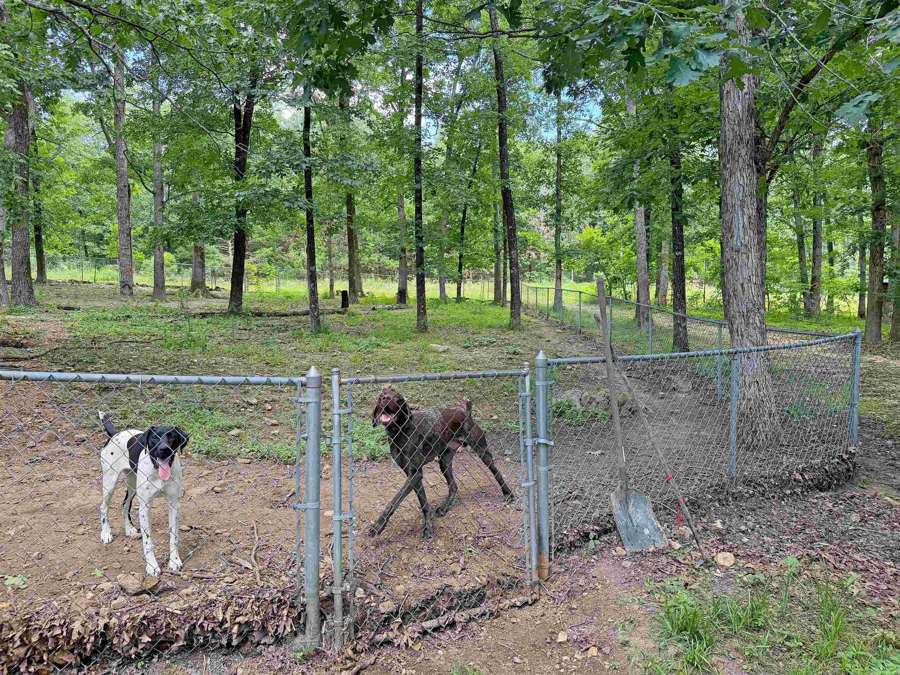 131 Doe Lane  Mountain View, AR