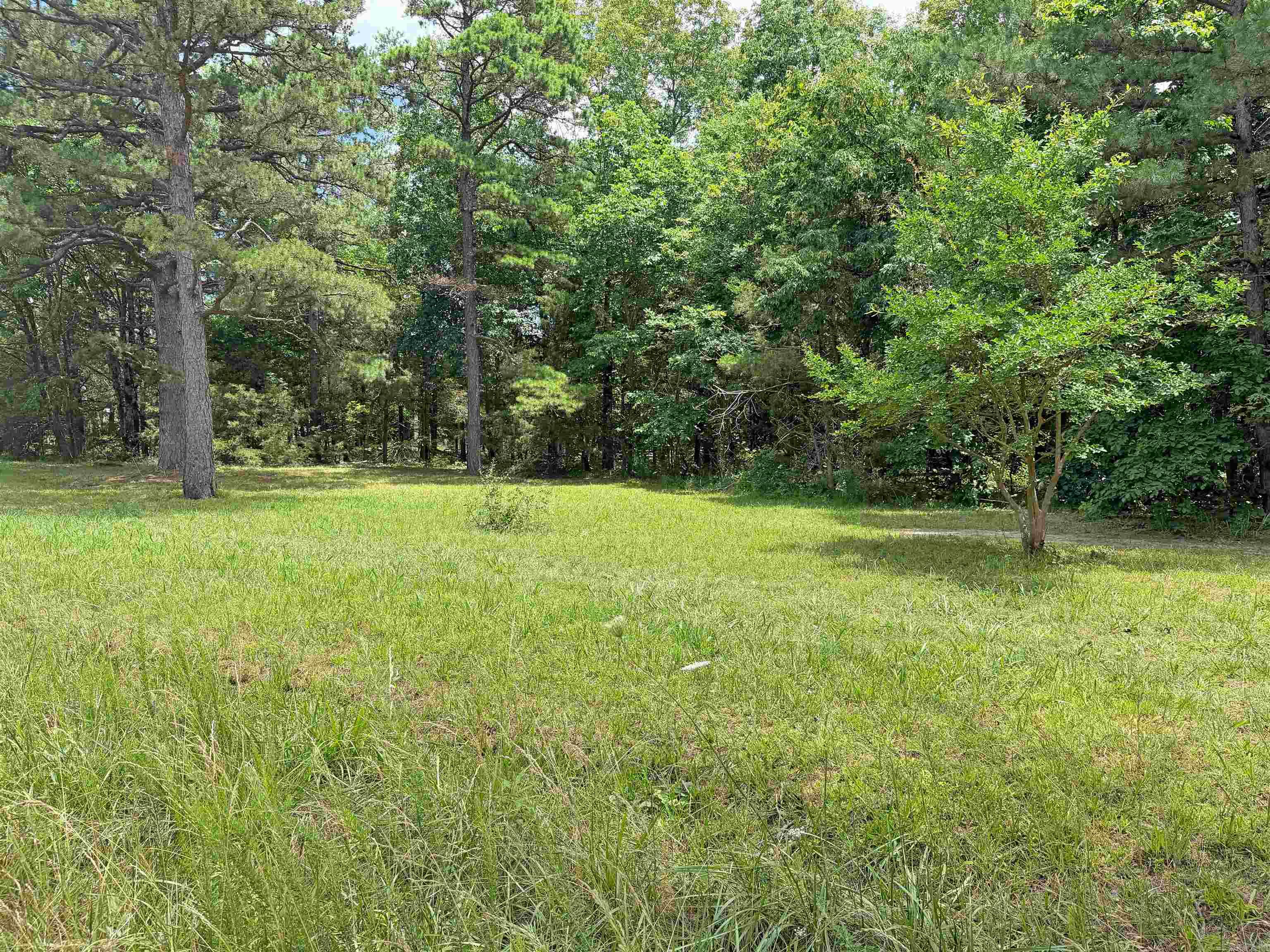 131 Doe Lane  Mountain View, AR