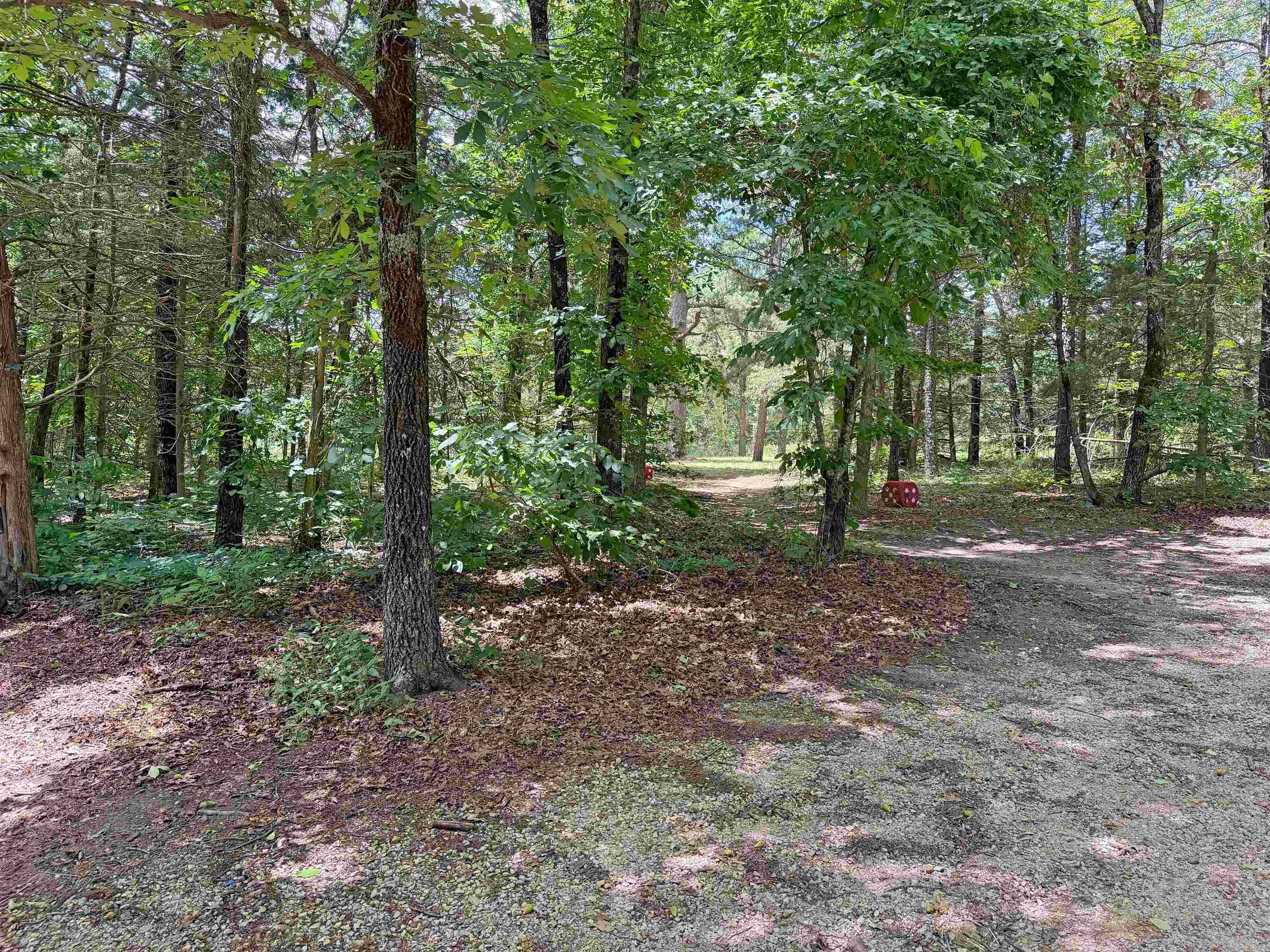 131 Doe Lane  Mountain View, AR