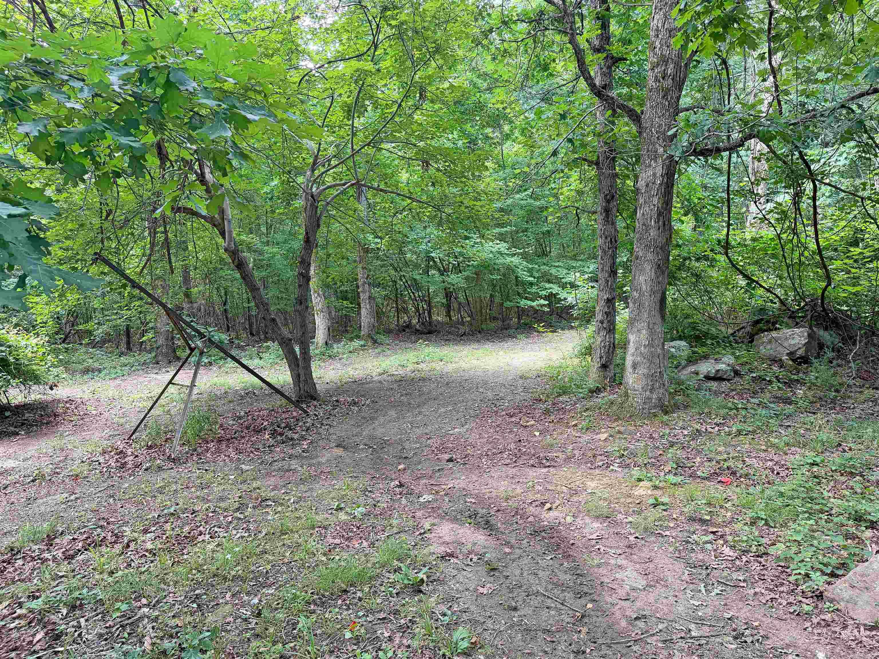 131 Doe Lane  Mountain View, AR