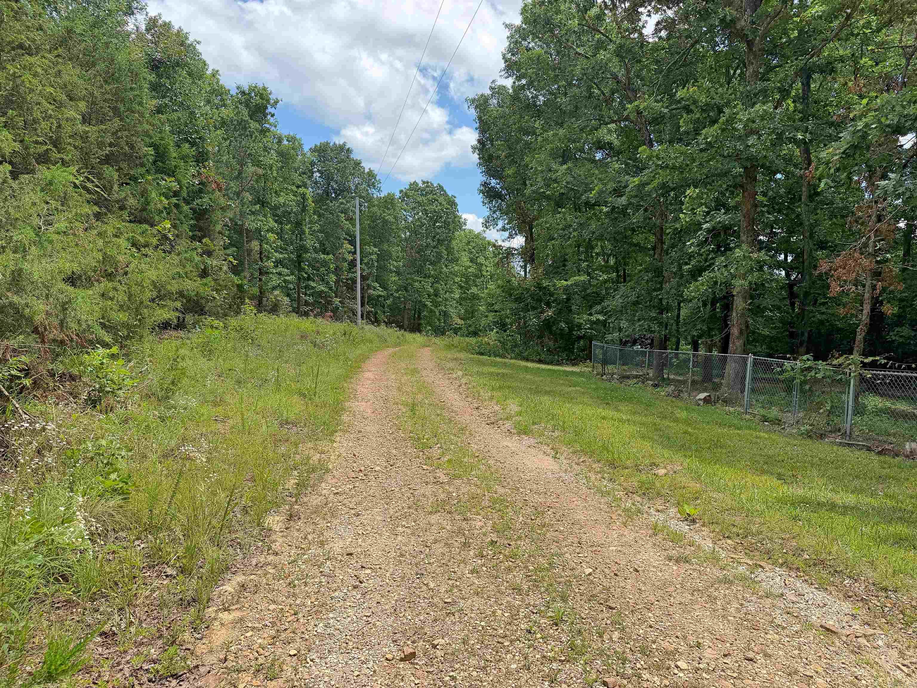 131 Doe Lane  Mountain View, AR