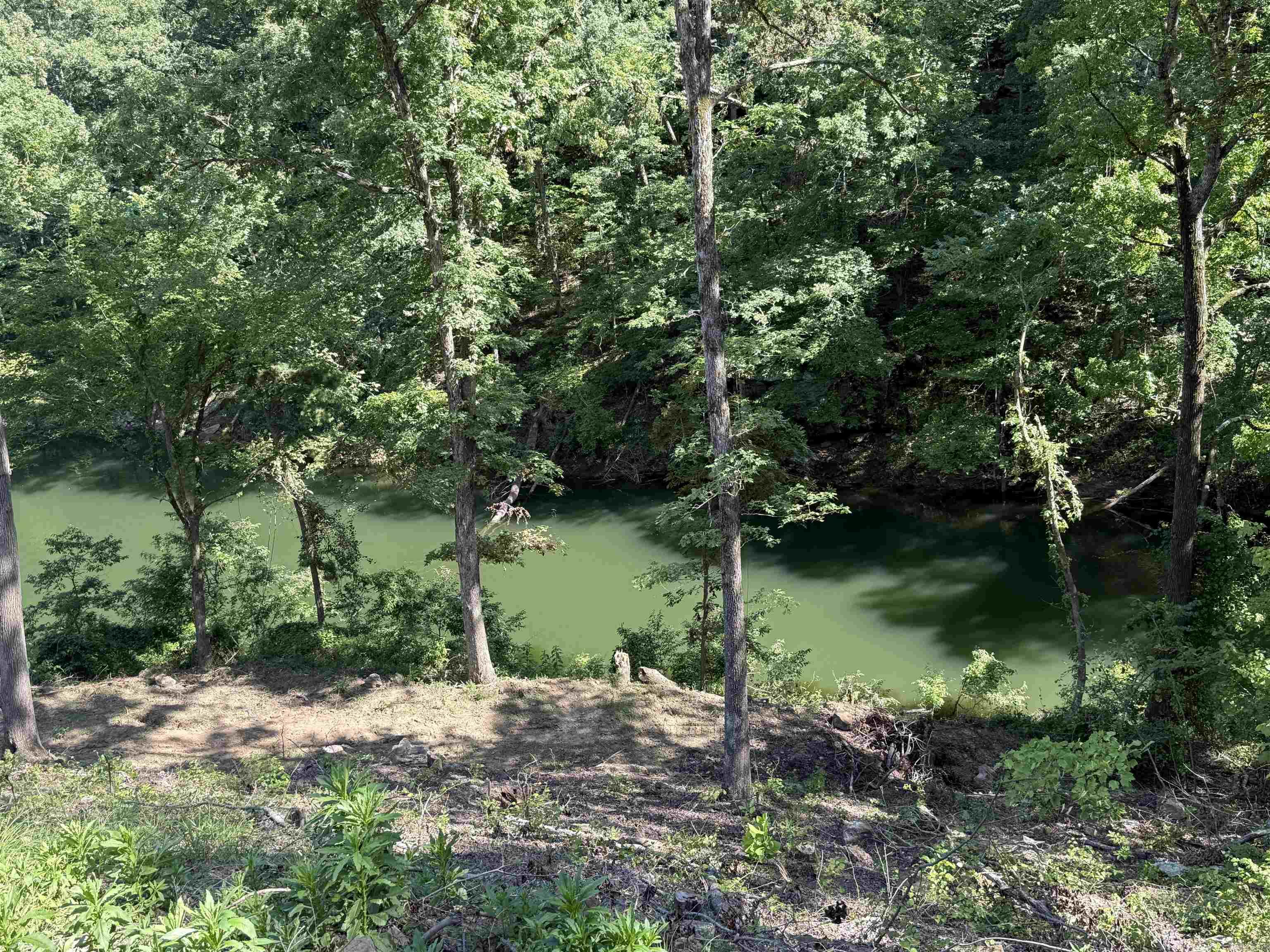 380 Lower Ridge Circle Edgemont, AR 72044