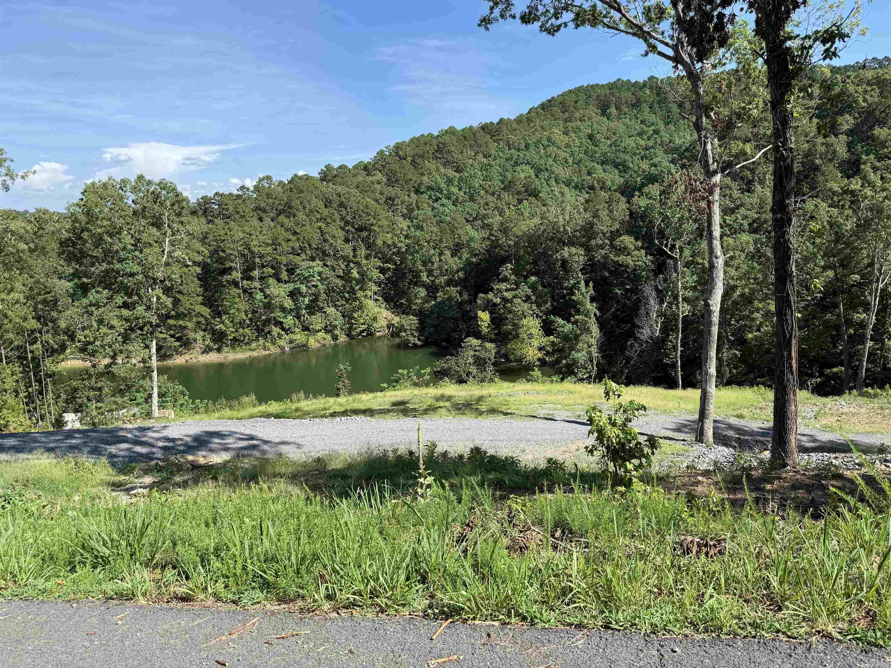 380 Lower Ridge Circle Edgemont, AR 72044