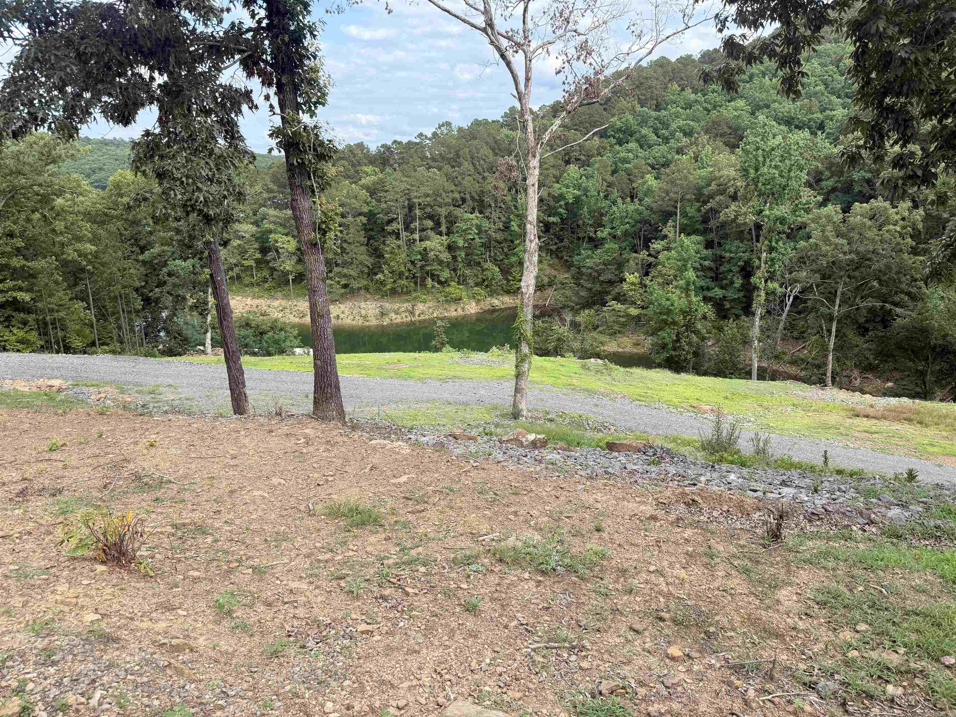 380 Lower Ridge Circle  Edgemont, AR