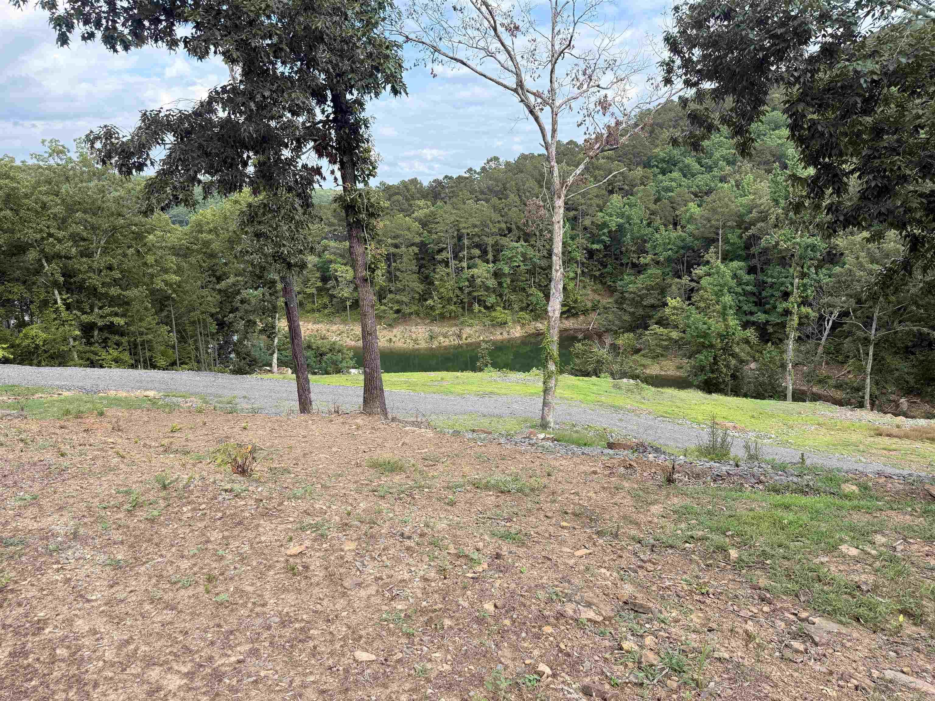 380 Lower Ridge Circle  Edgemont, AR