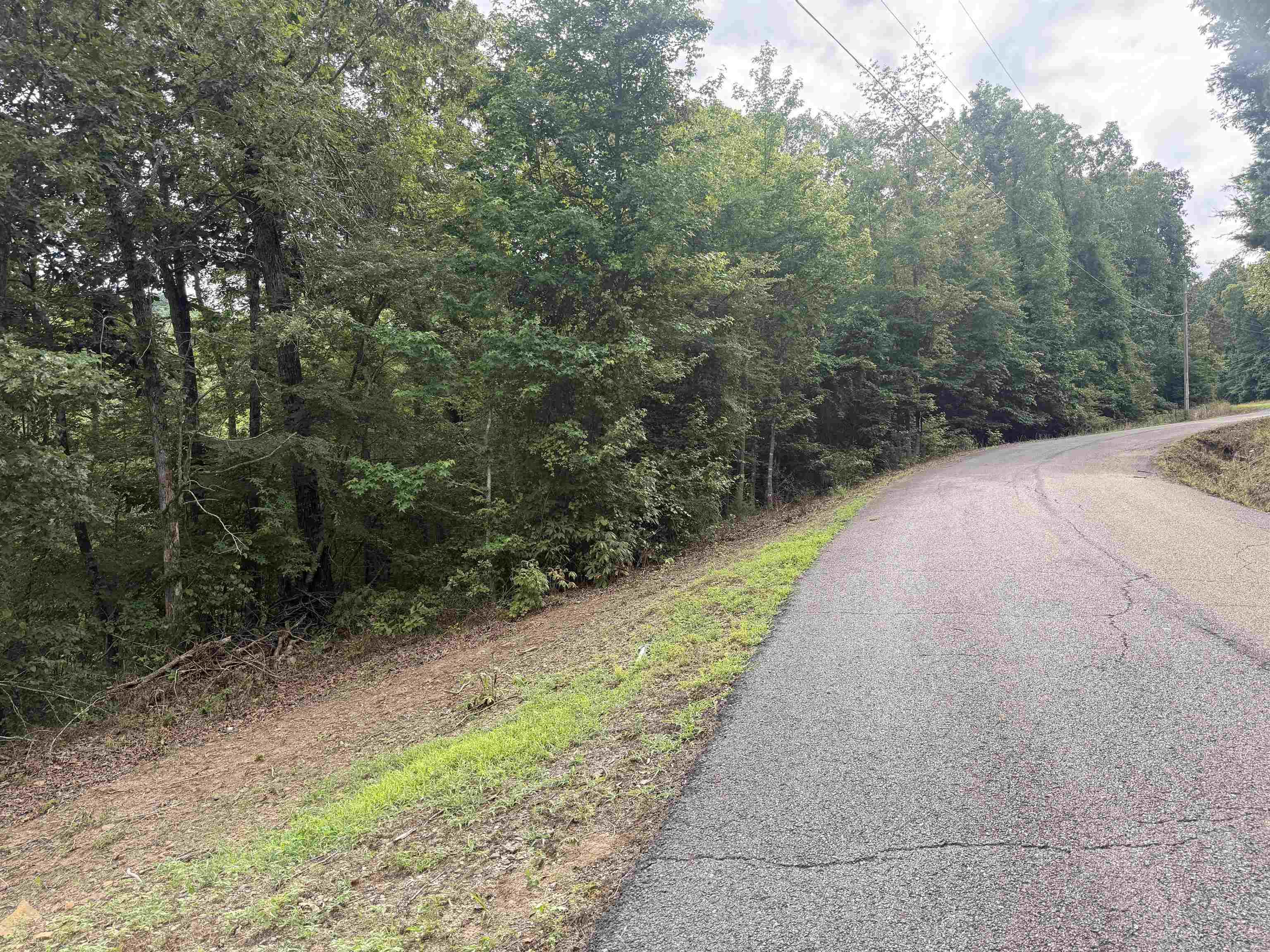 380 Lower Ridge Circle Edgemont, AR 72044