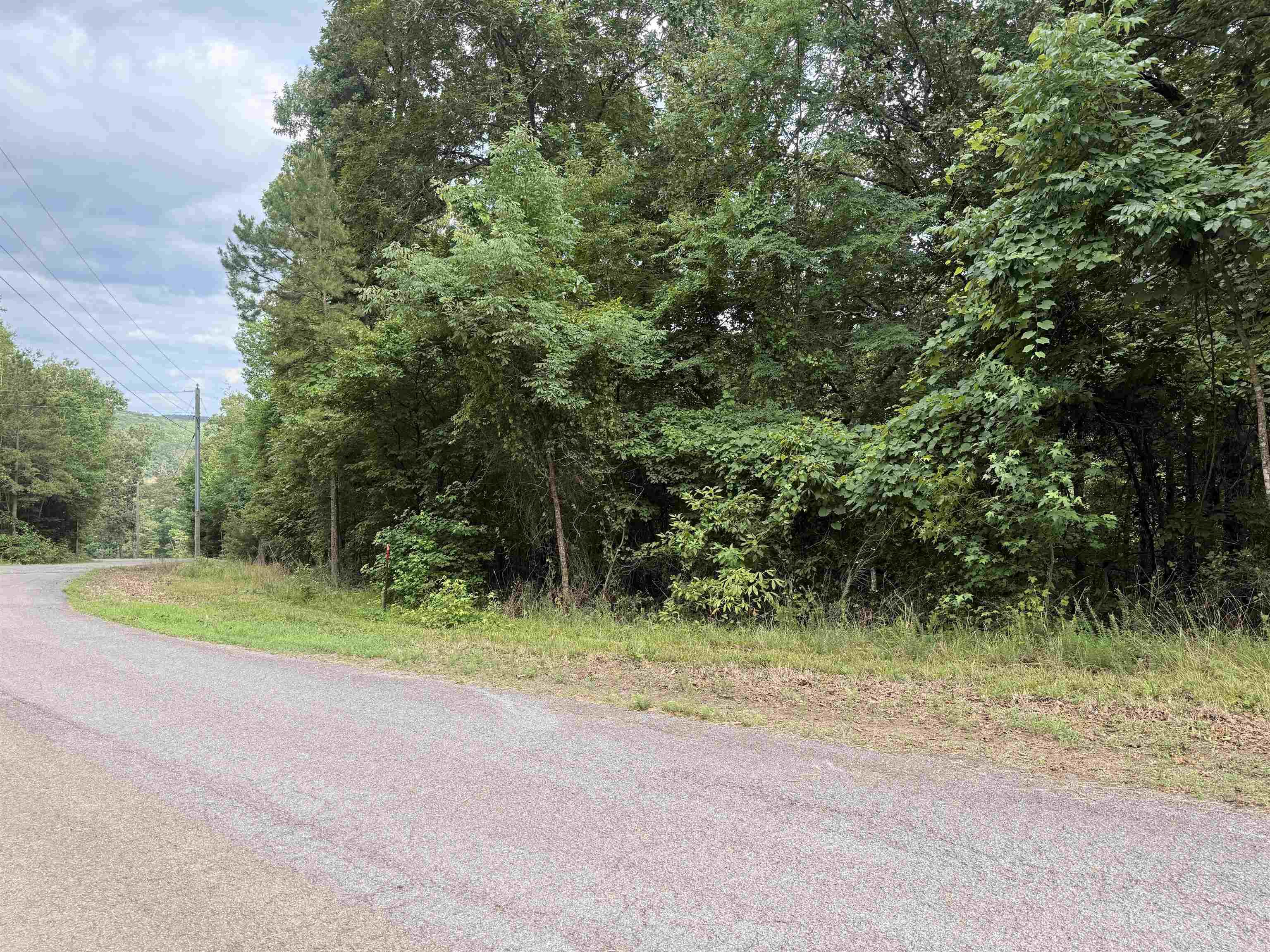380 Lower Ridge Circle Edgemont, AR 72044