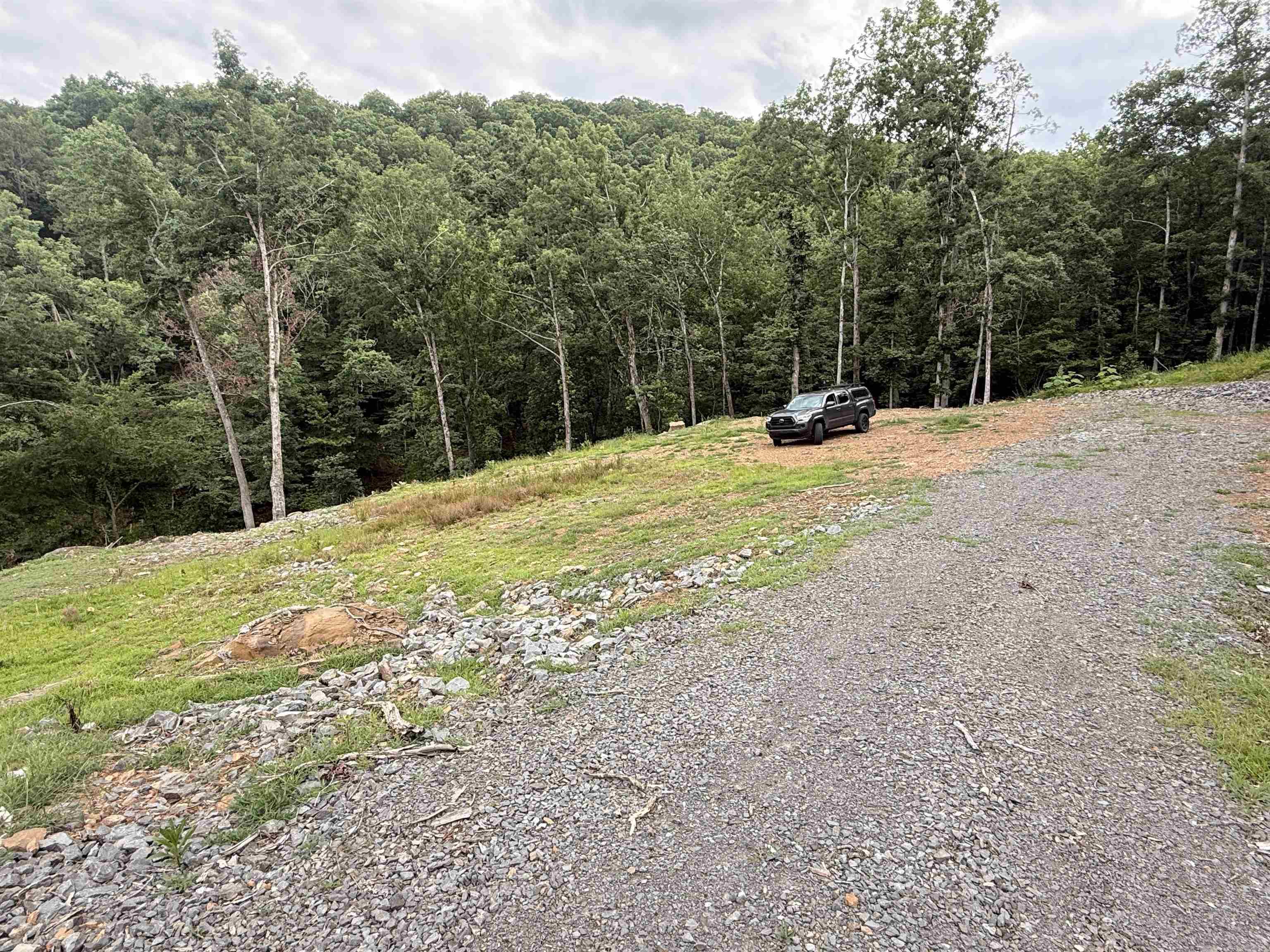380 Lower Ridge Circle  Edgemont, AR