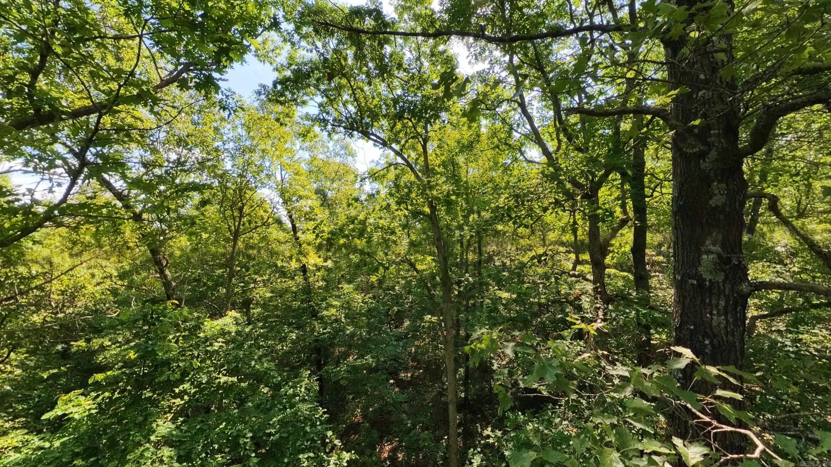 000 Private Road 5212  Willow Springs, MO