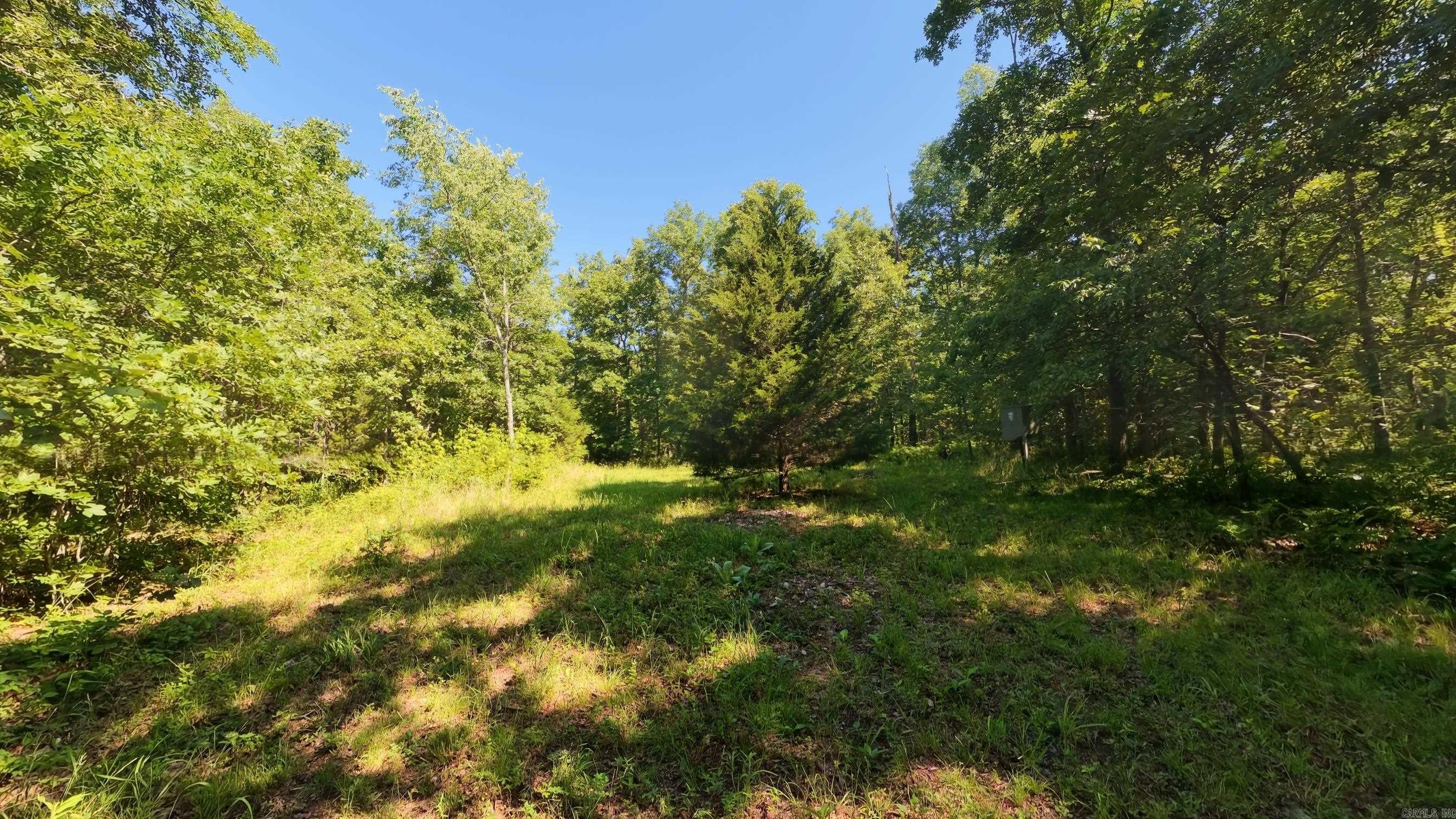 000 Private Road 5212  Willow Springs, MO