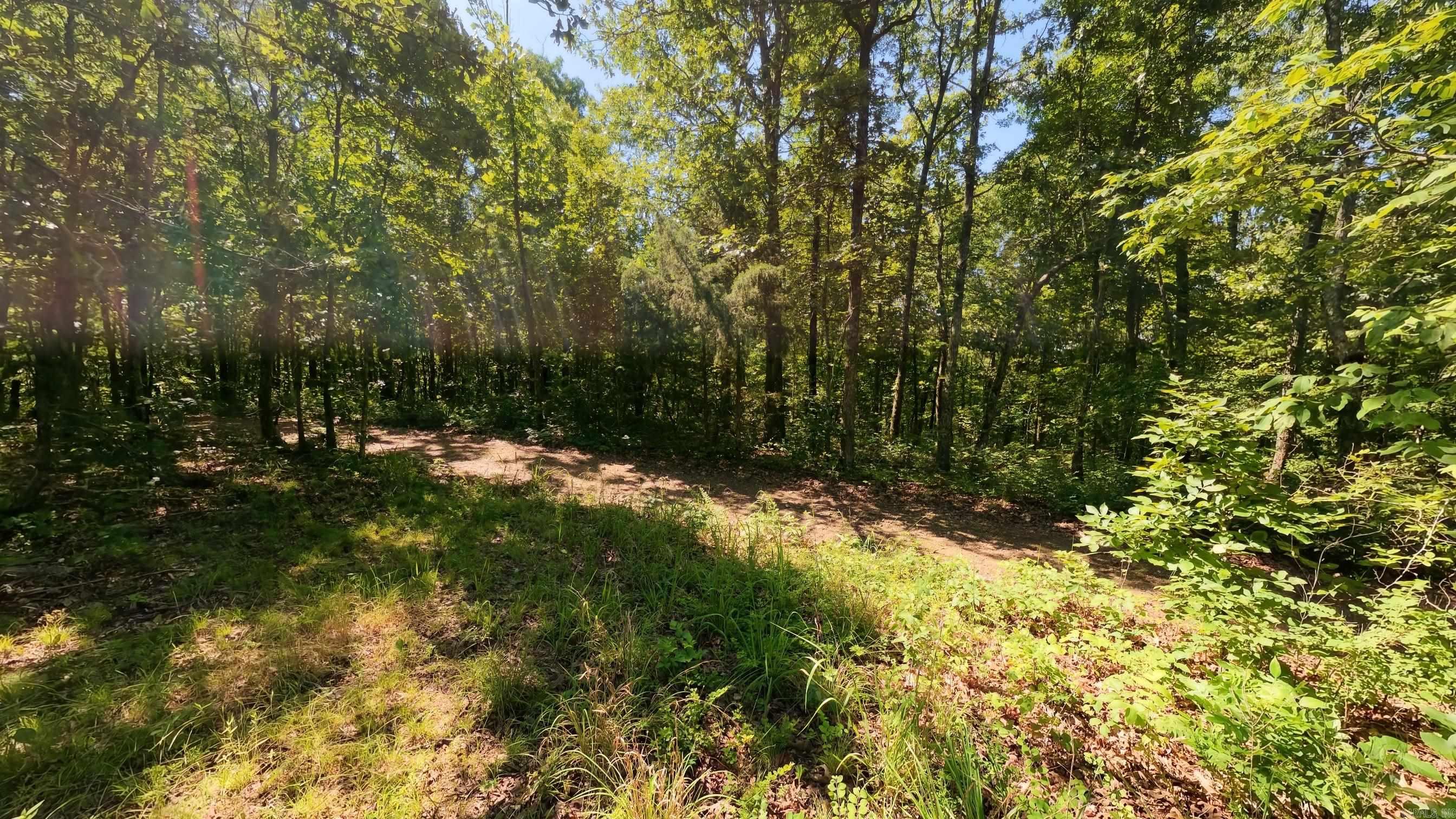 000 Private Road 5212  Willow Springs, MO