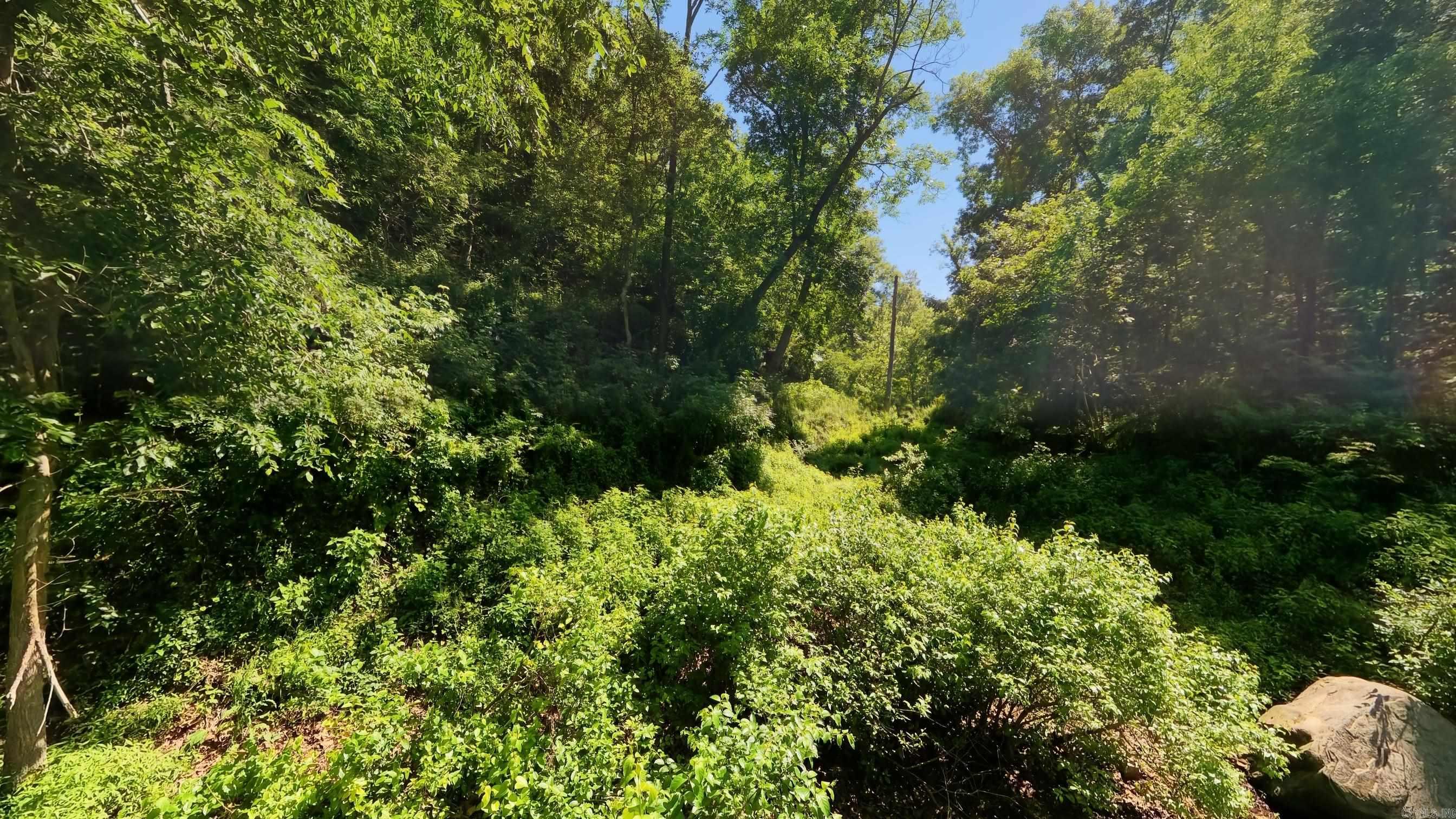 000 Private Road 5212  Willow Springs, MO